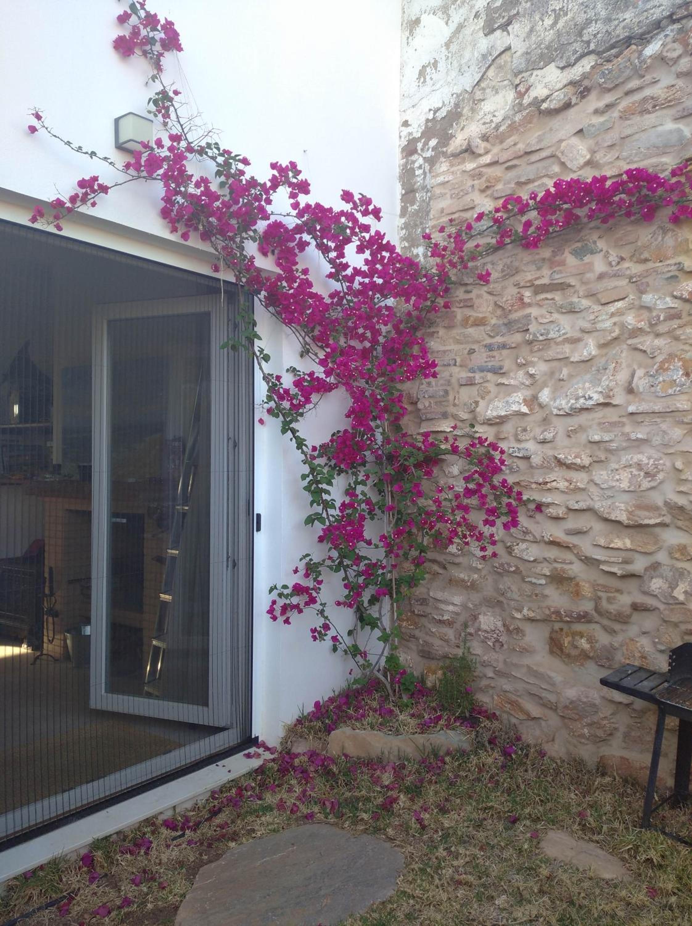 Casa Rural Sierra Guadalcanal