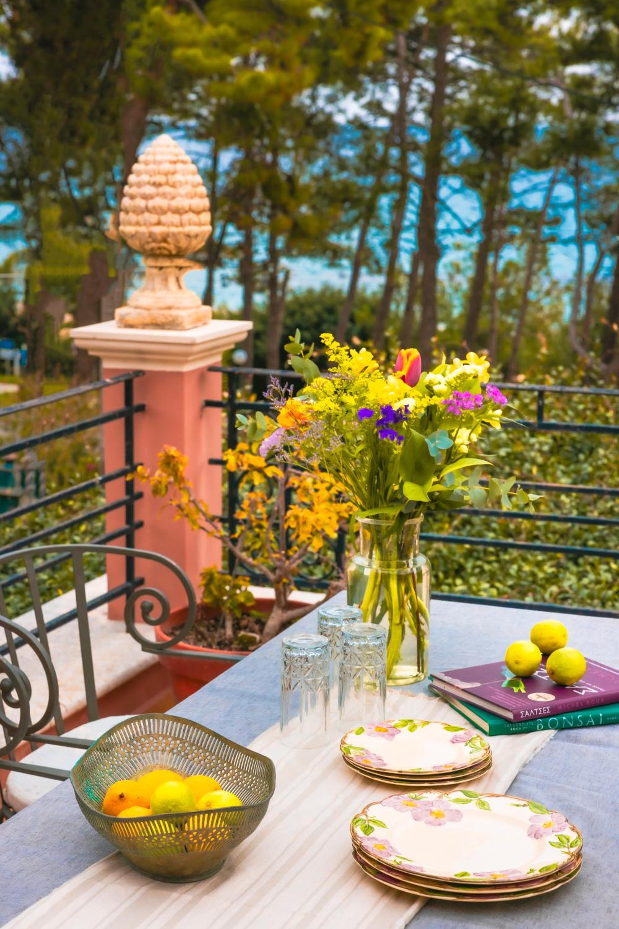 balance & terrace
