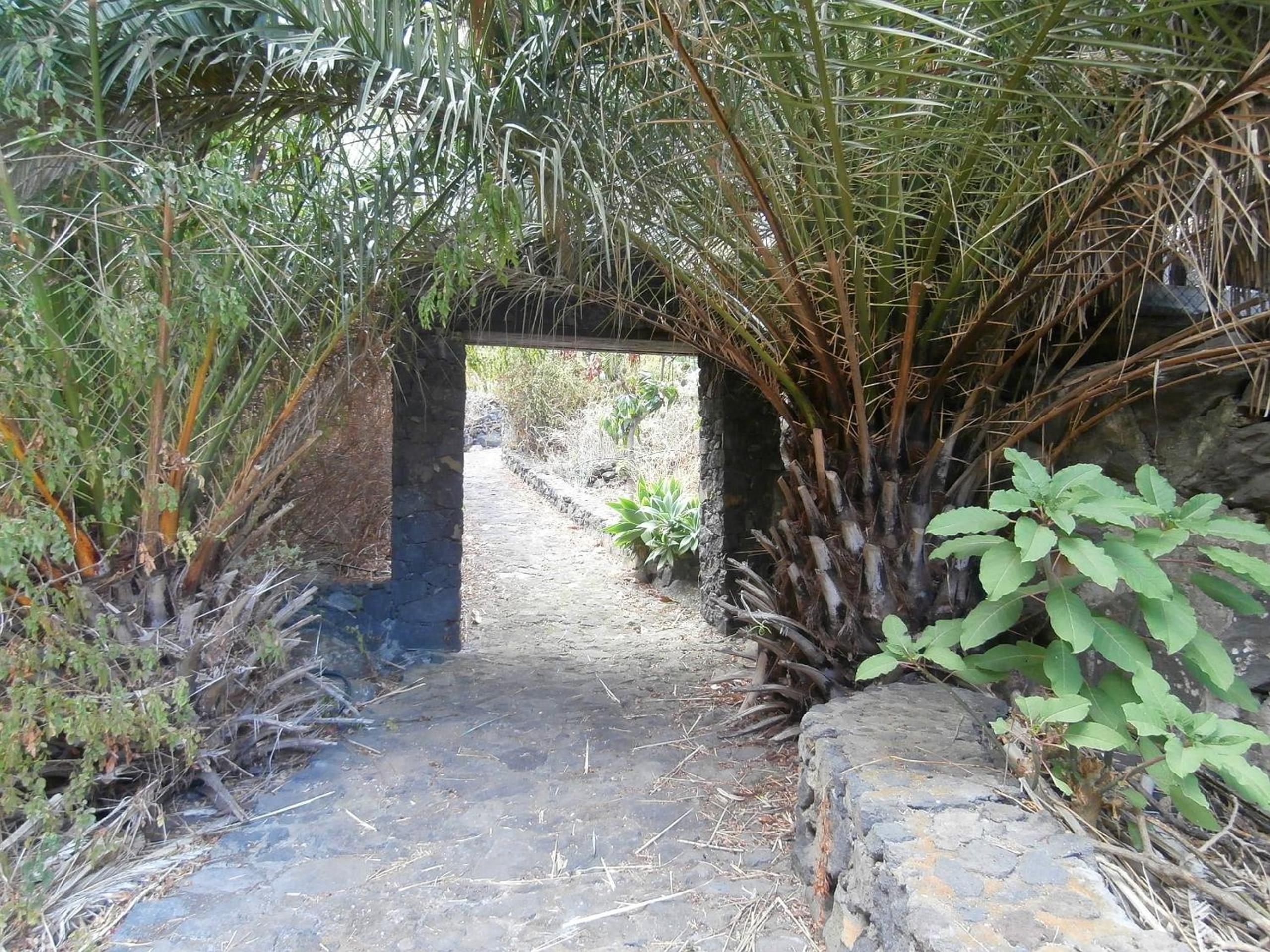 Photo 40