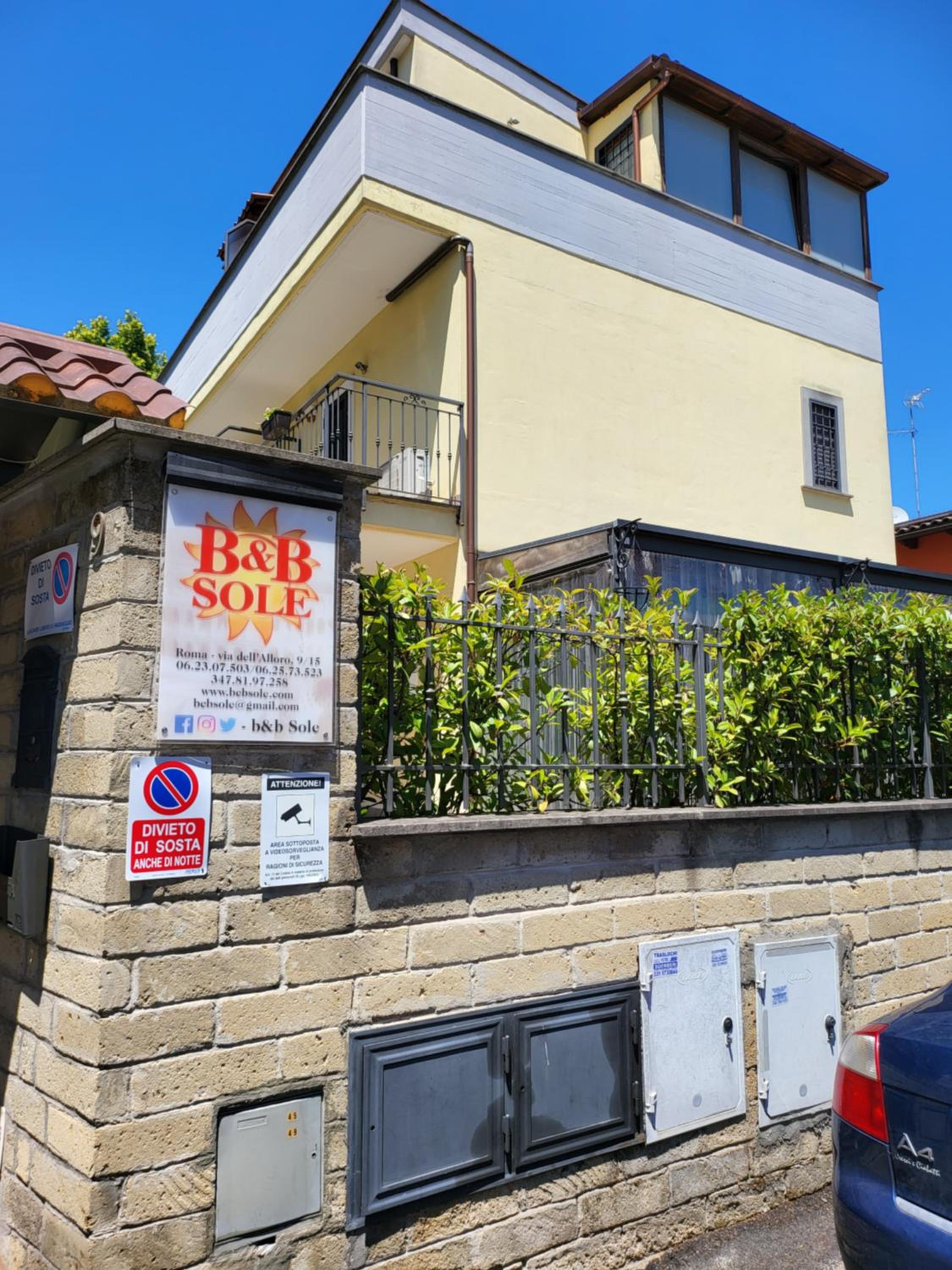 sole