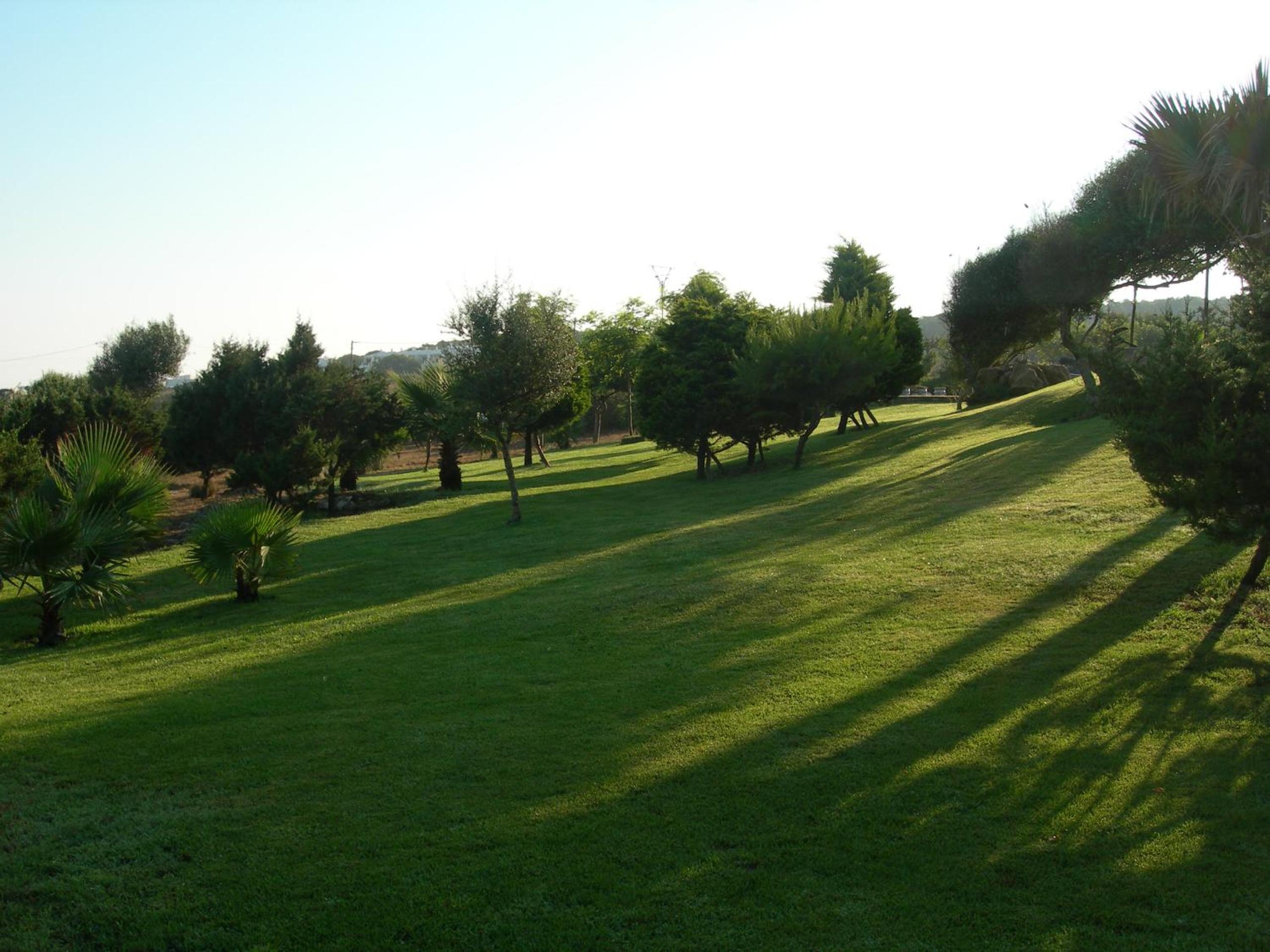 Photo 43