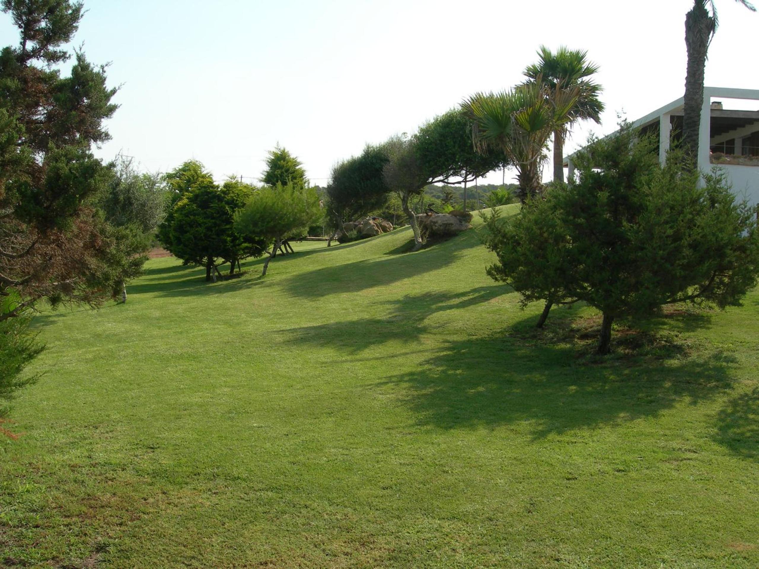 Photo 44