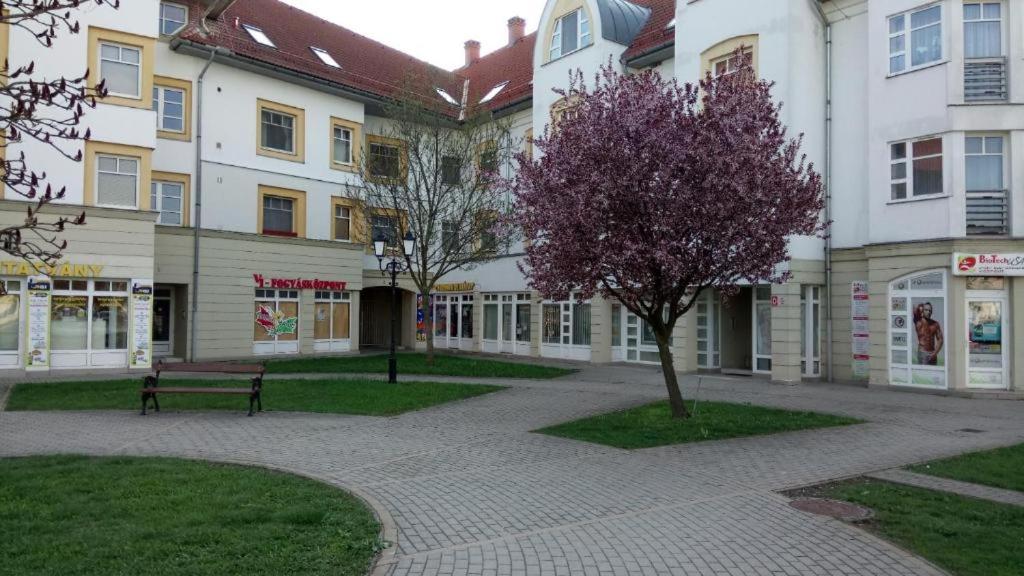 Rosegarden Apartman