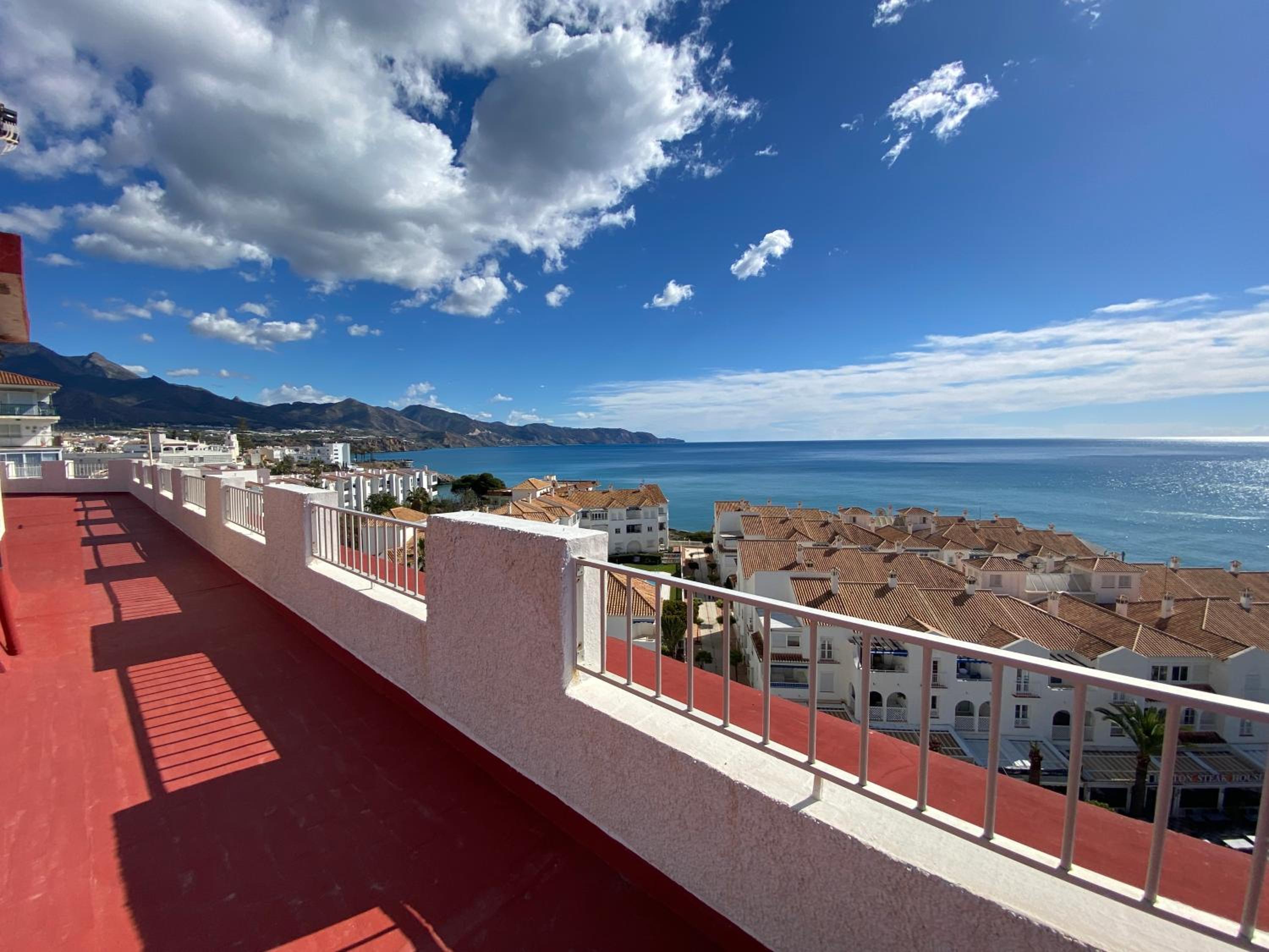 Delfín Nerja