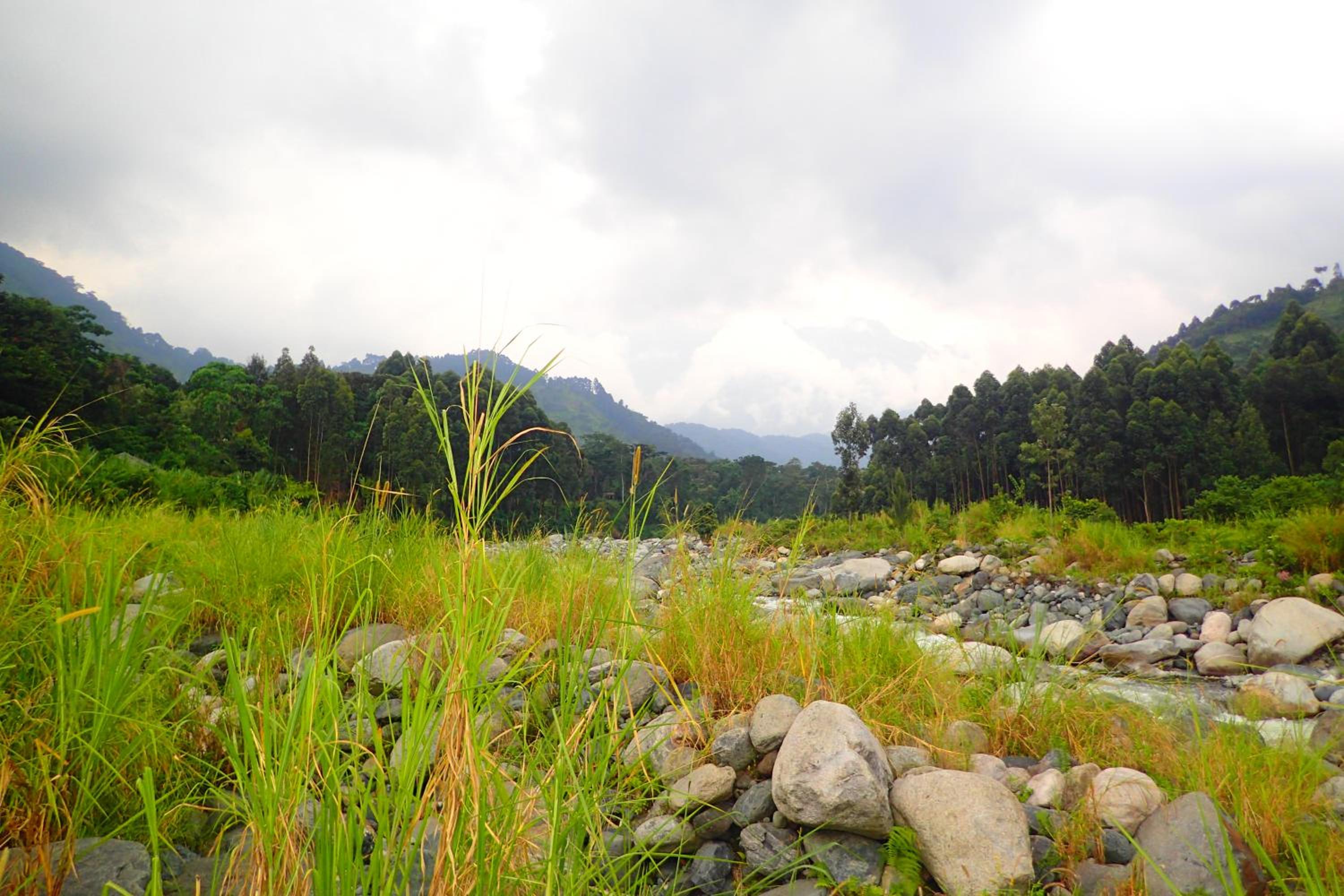 Summit Guesthouse