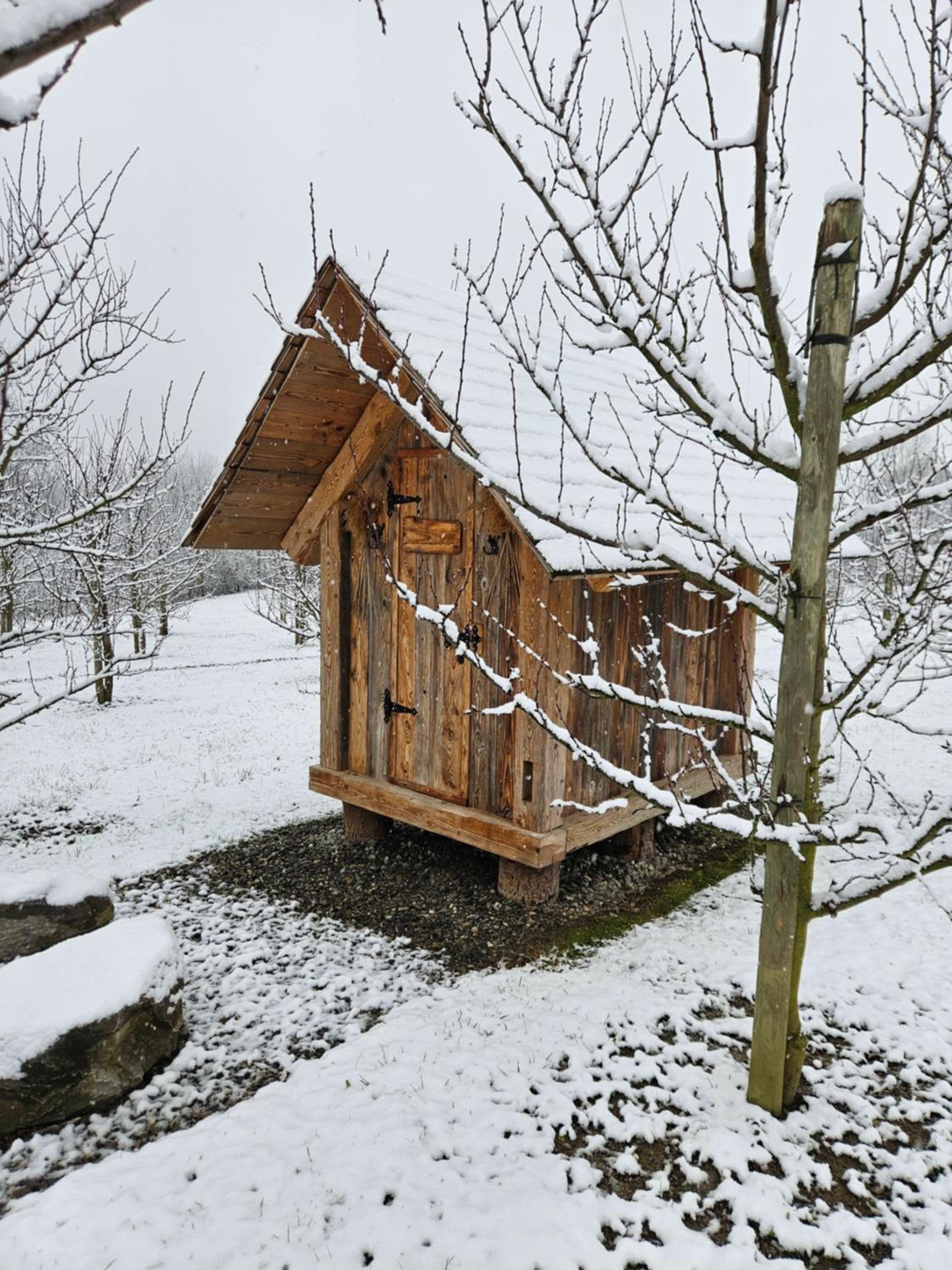 Baumhaus Heuhütte