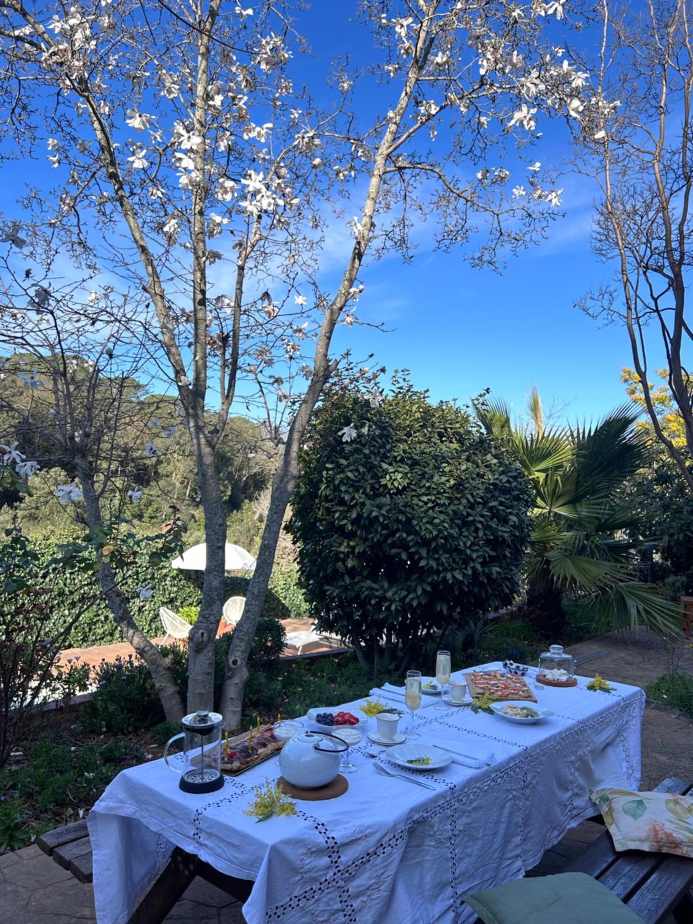 Casa Magnolia