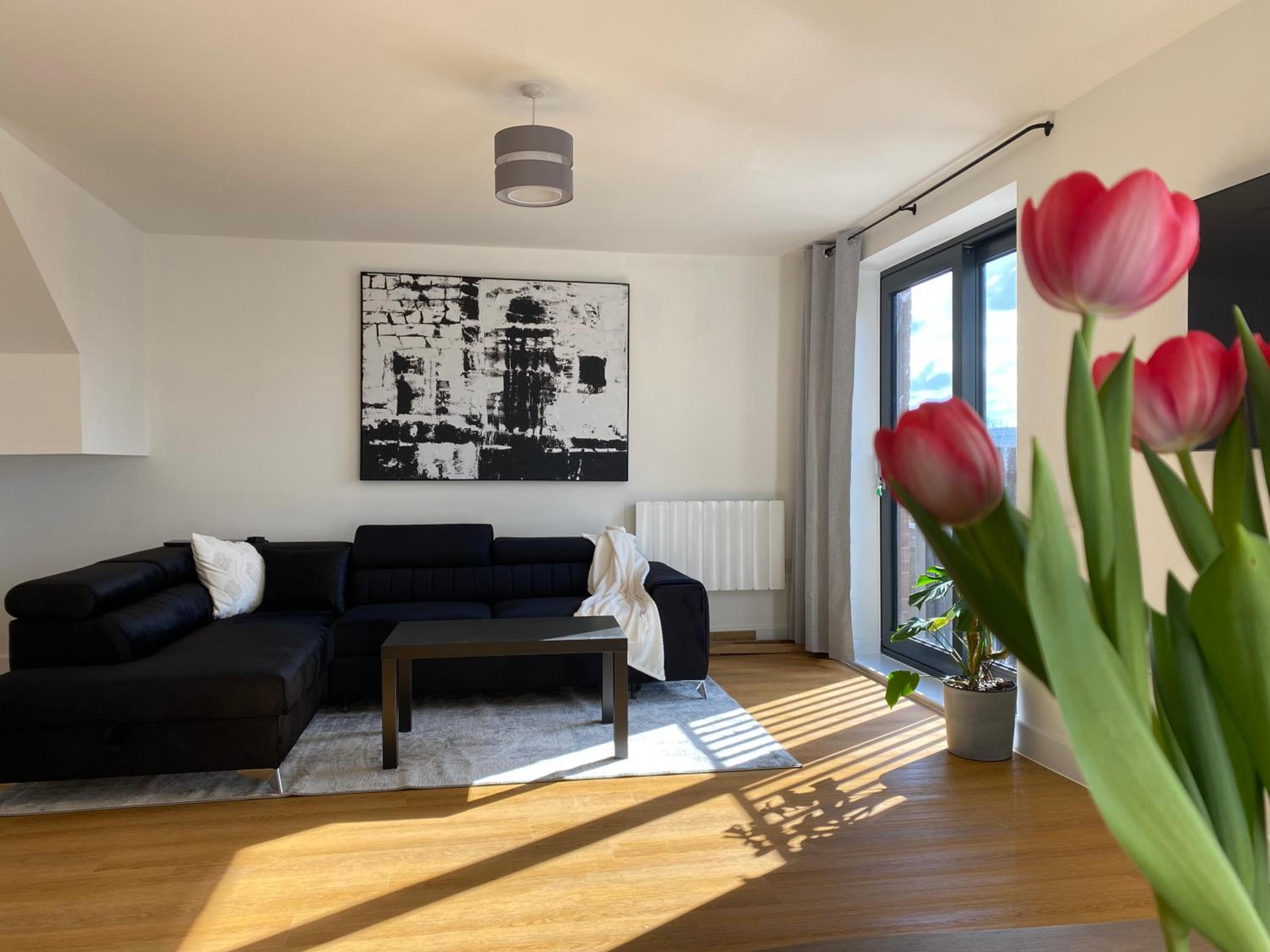 Beautiful Penthouse In Bristol - new view 3