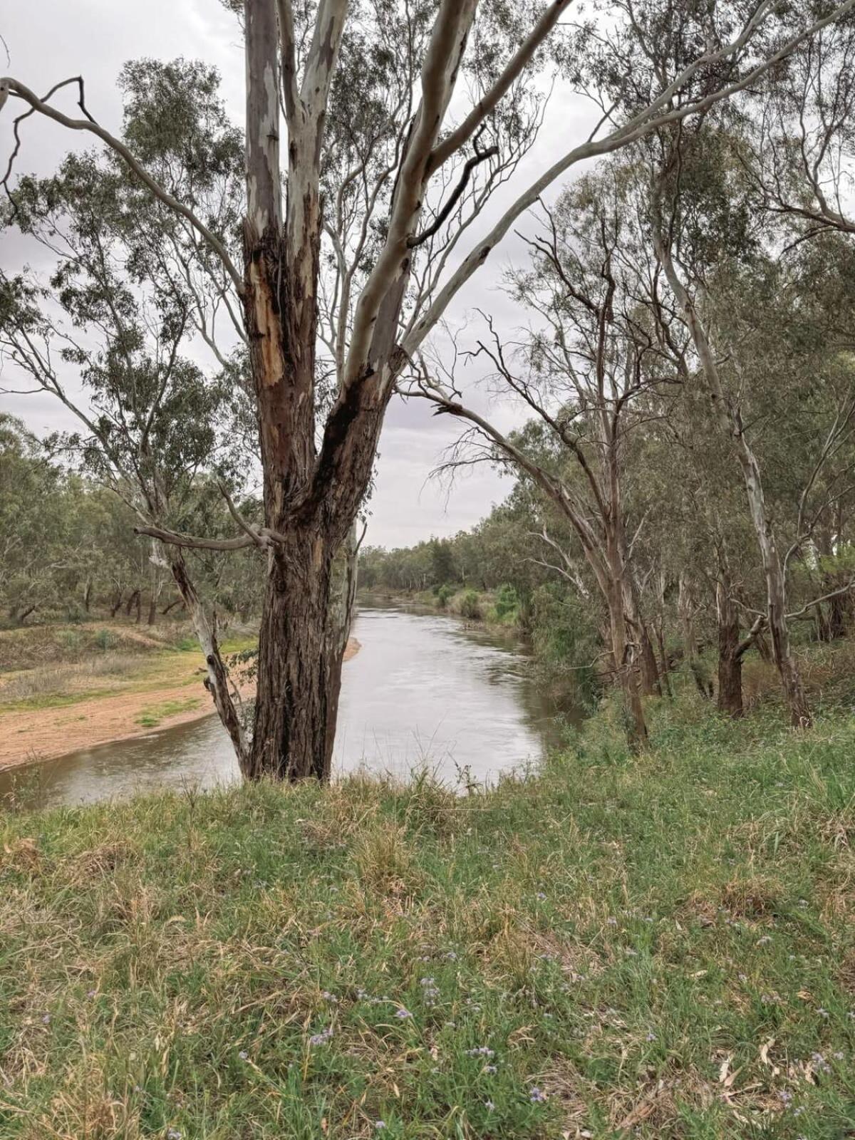 Macquarie River View by Tiny Away