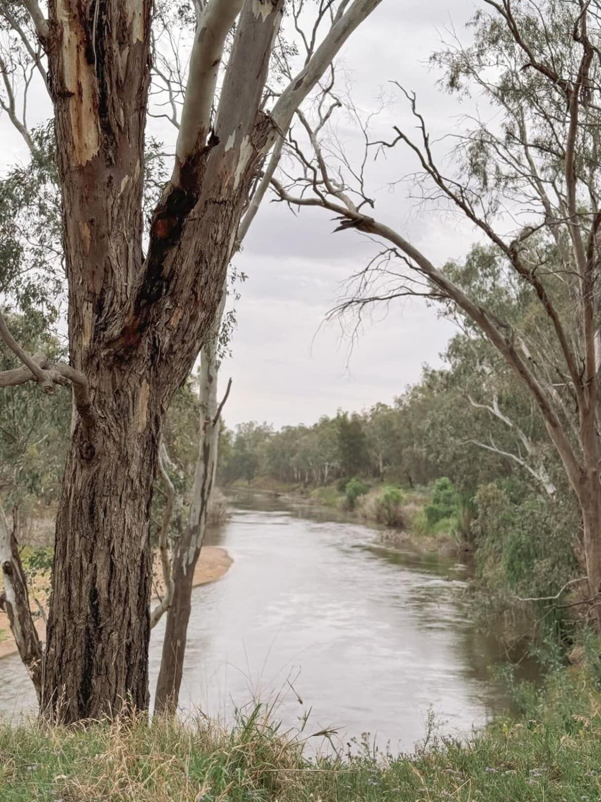 Macquarie River View by Tiny Away