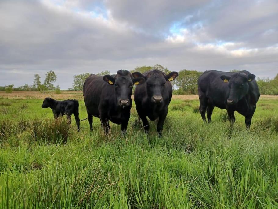 Komfortabel feriegård nær Varde