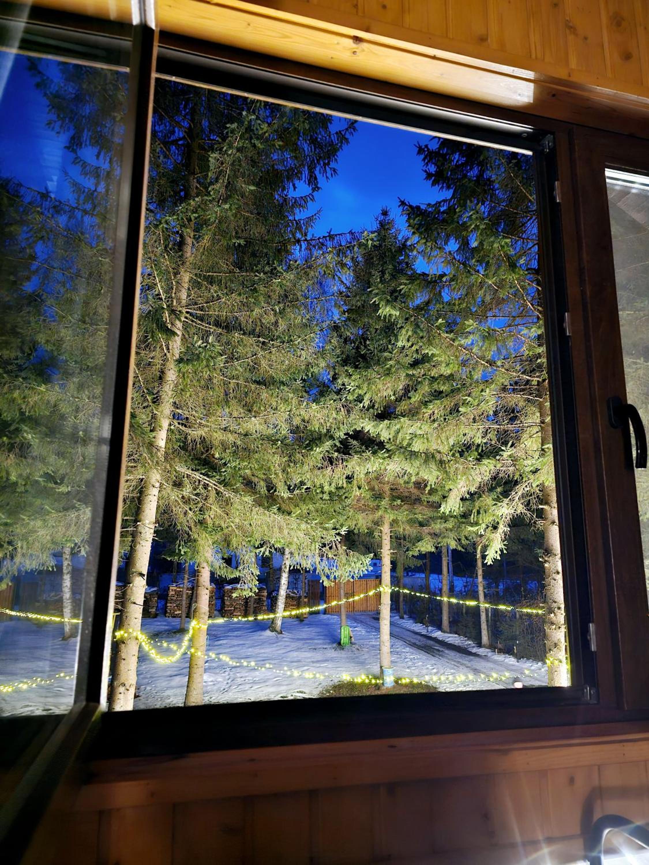 Misha's House