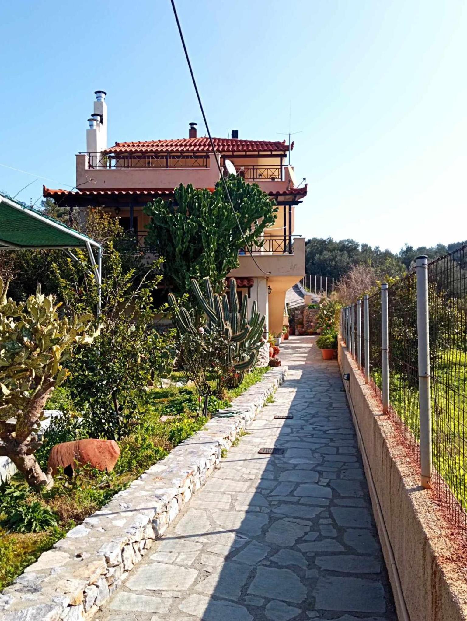 KONSTANTINA'S HOUSE photo 1