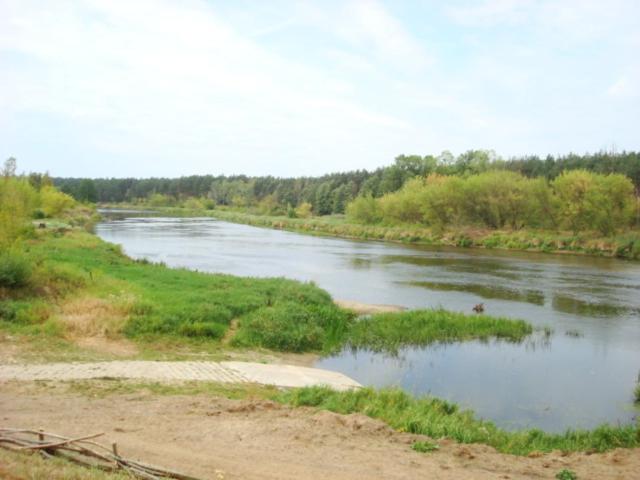 Photo 26