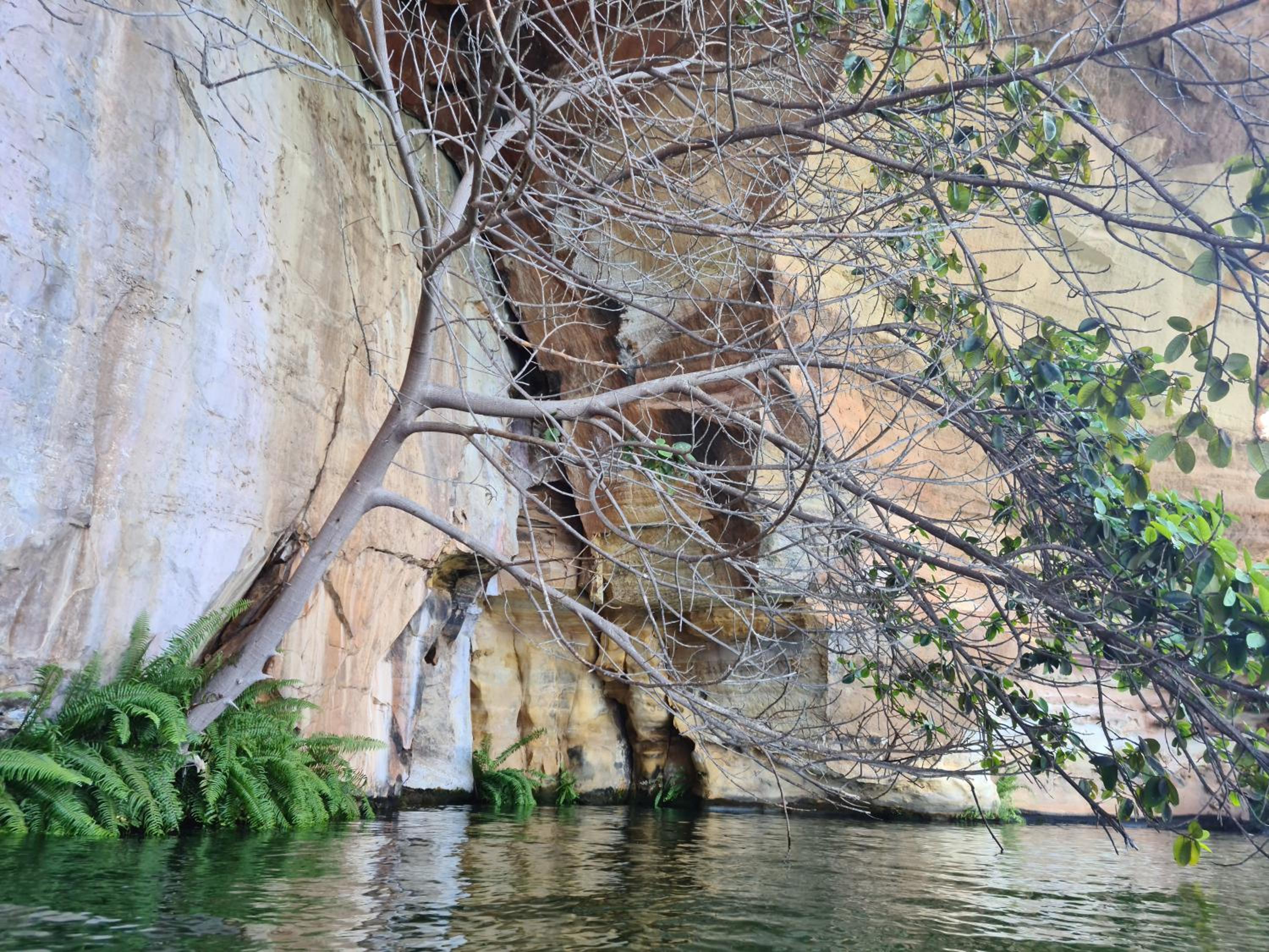 Photo 41