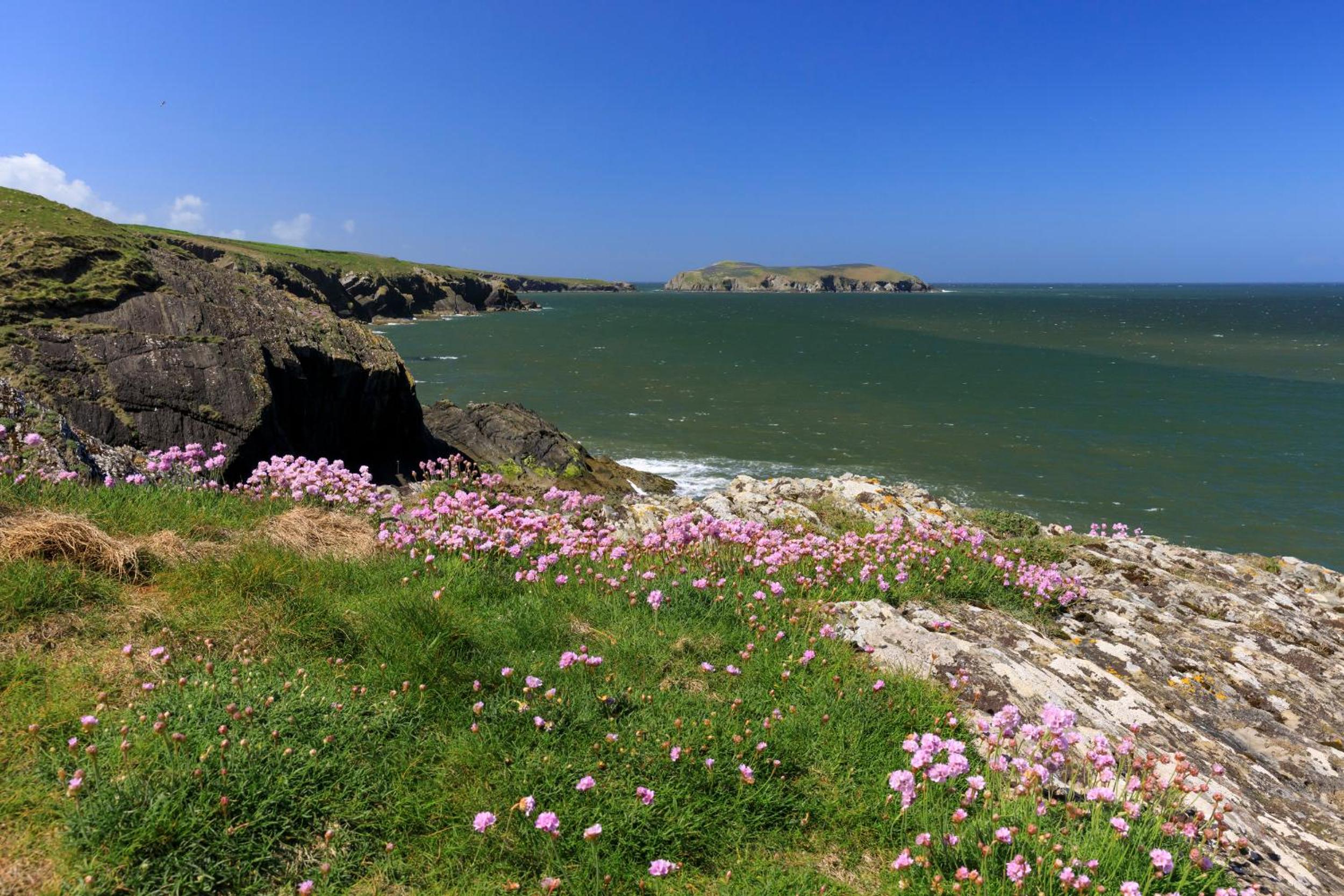 Rhaiadle Llangrannog