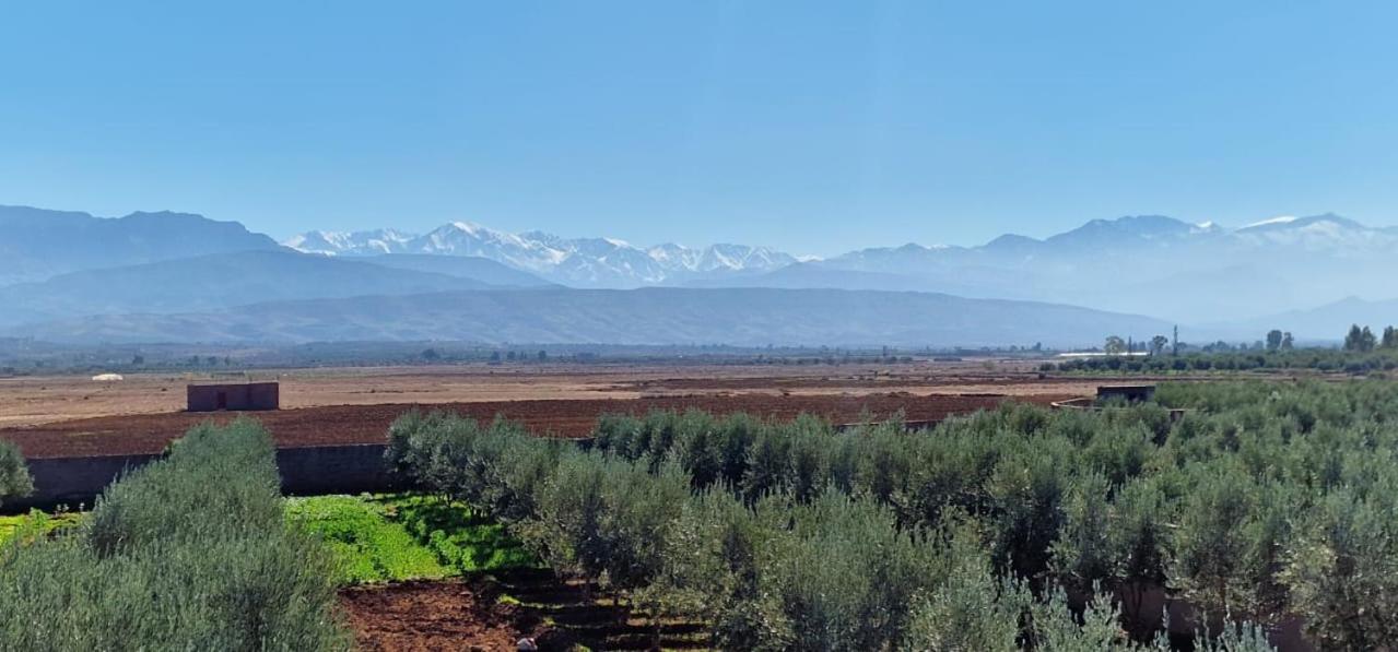 DAR MORAD villa entière avec piscine privée ds une ferme de 4Ha view 2