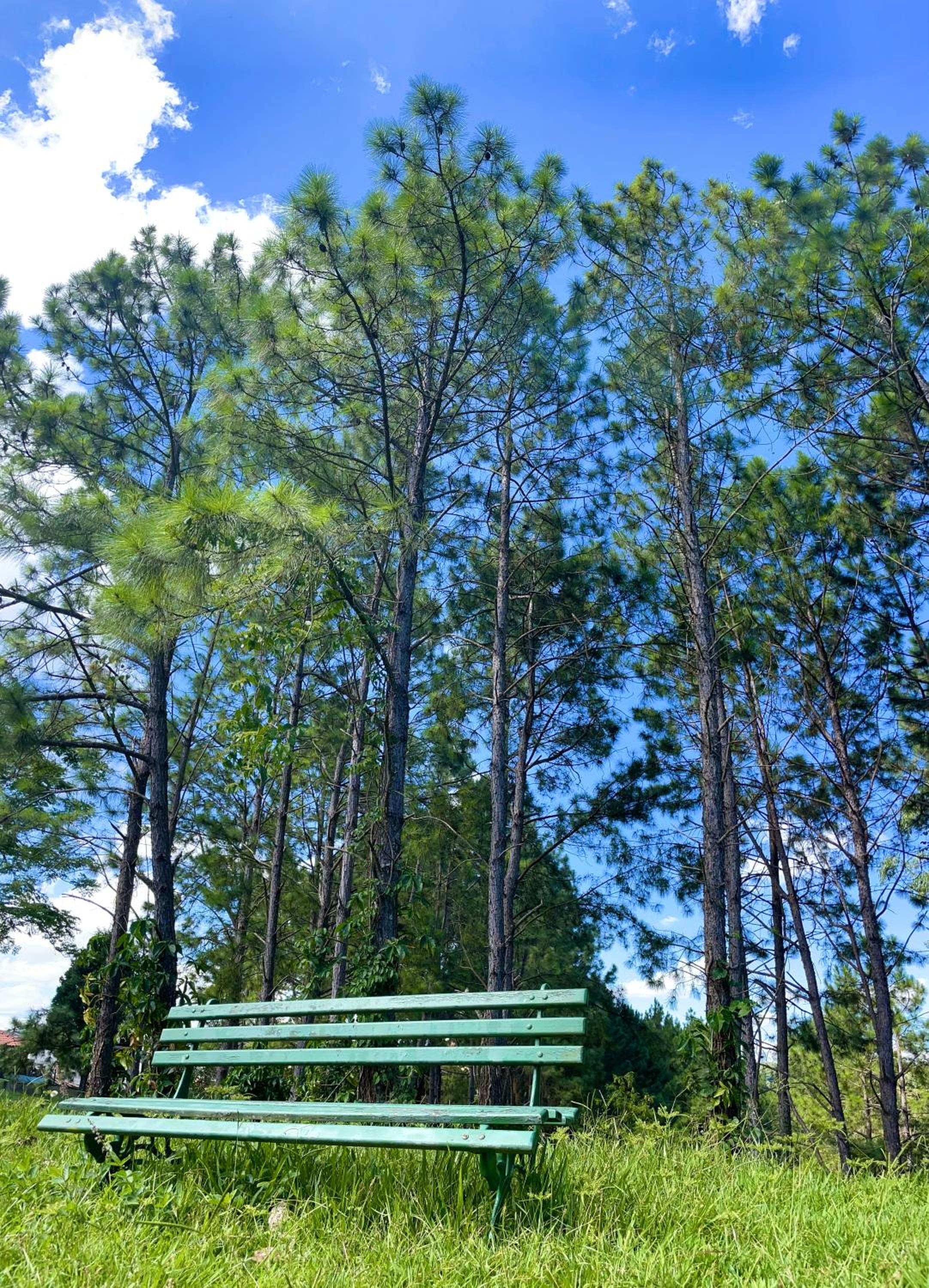 Guararema Parque Hotel