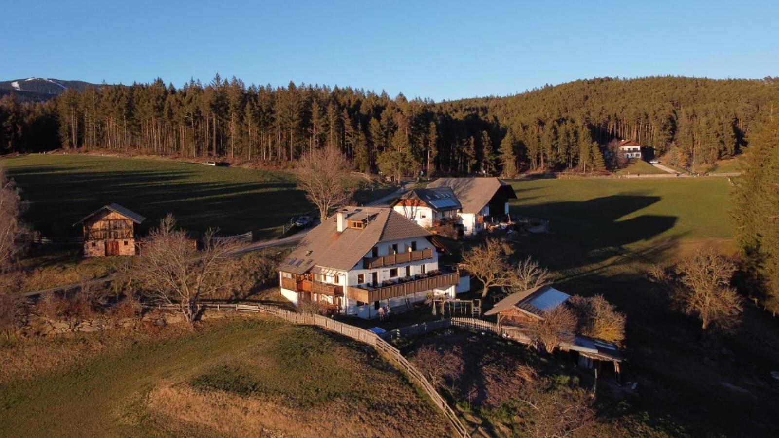 Webergütl