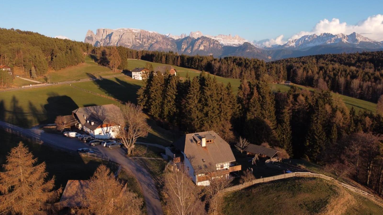 Webergütl