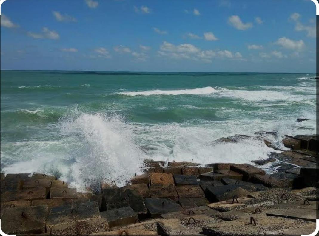 SUN SEA HOLIDAy 13 ALMOAYYED STREET view 5