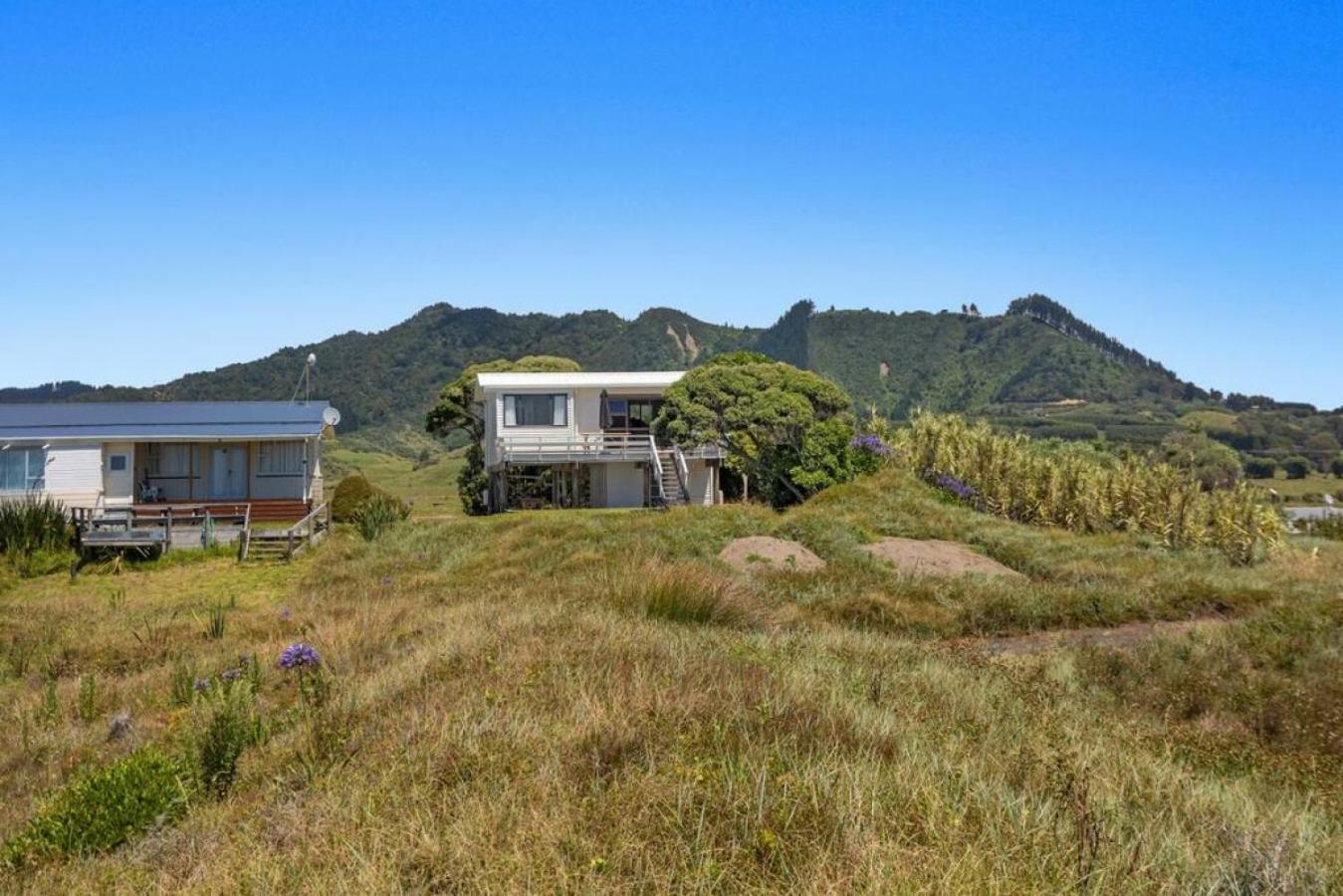 Beach Bach on the Dune Trails view 2