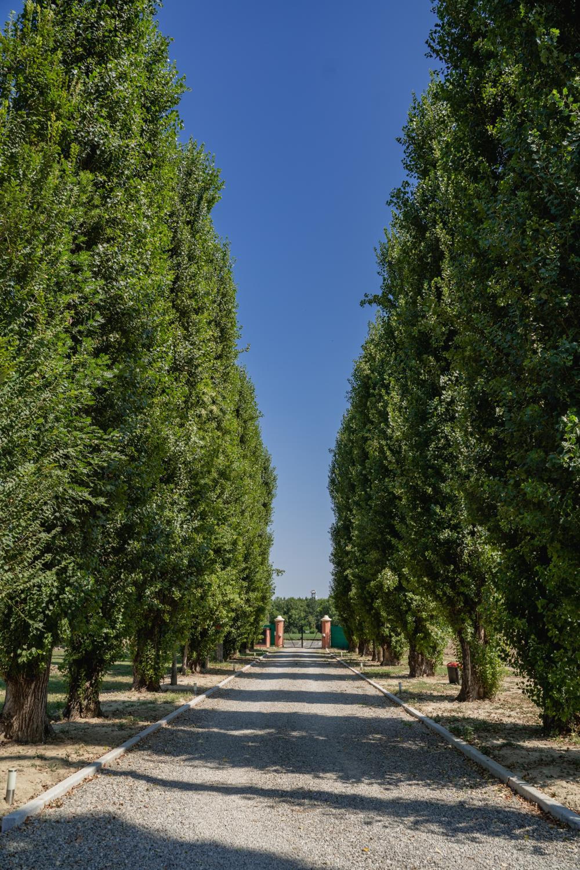 Villa Iris