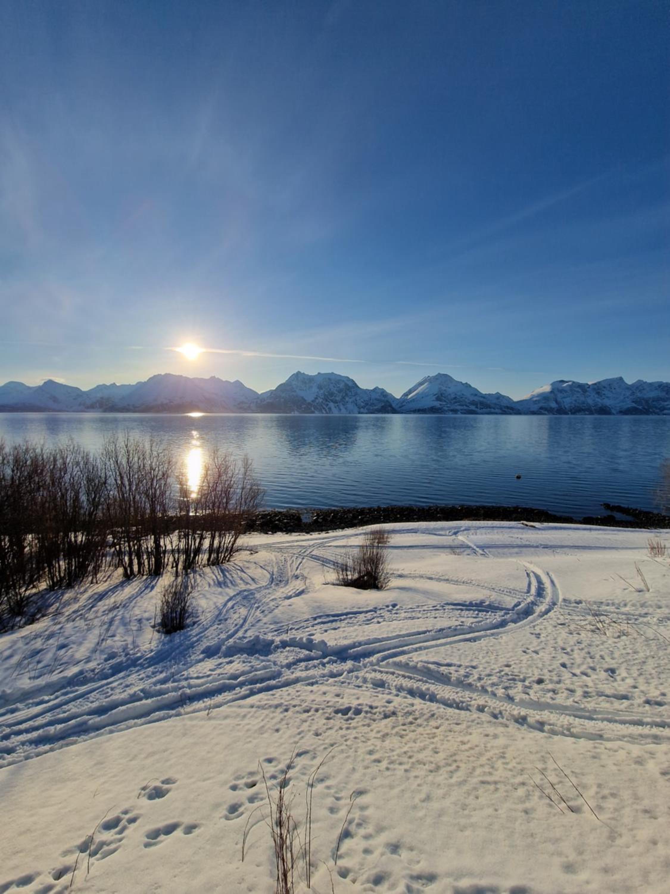 Lyngenfjord view