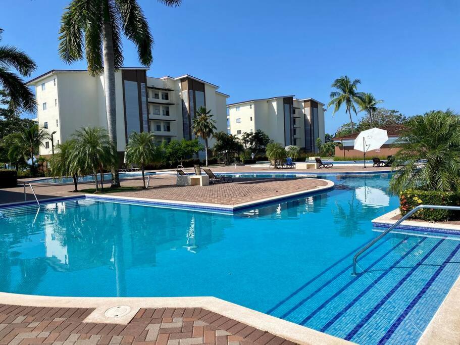 Amazing New Beach Front Condo