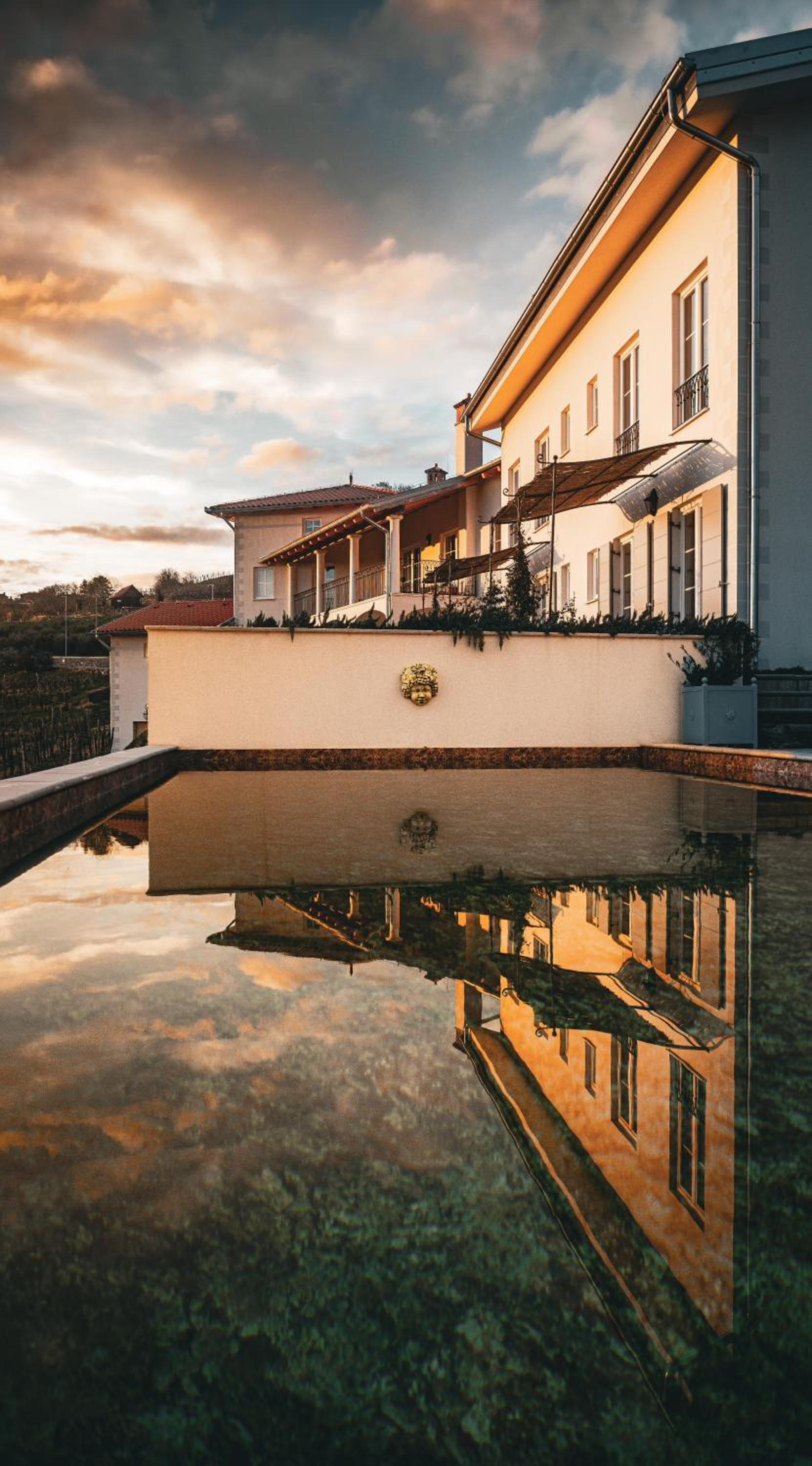 Peterc Vineyard Estate view 3