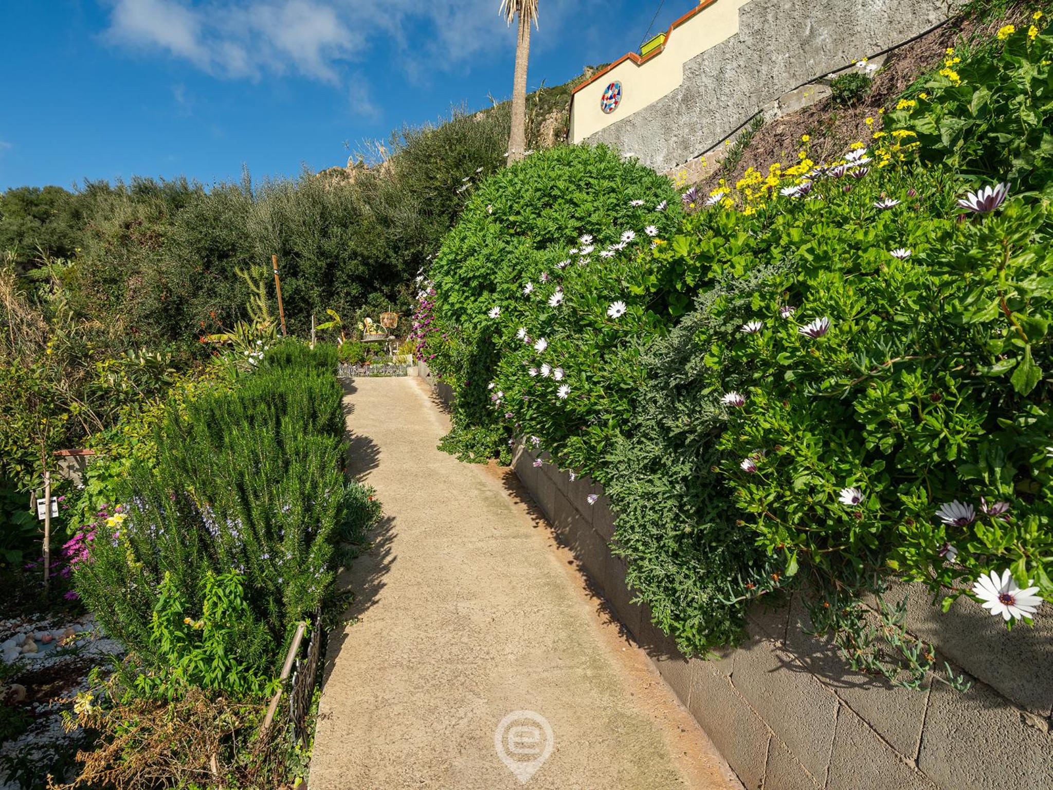 Pan Home view 3
