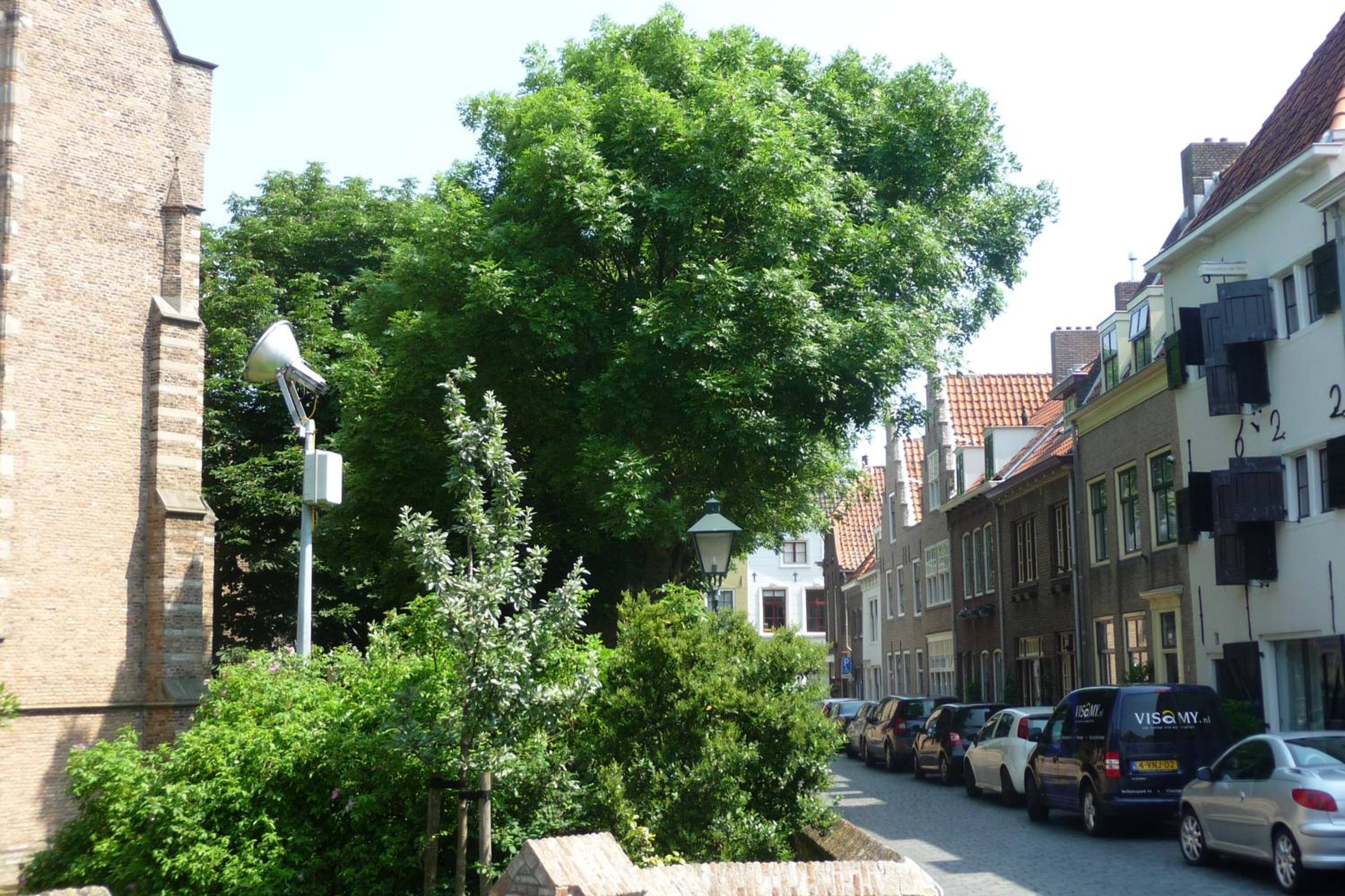 Zeezicht