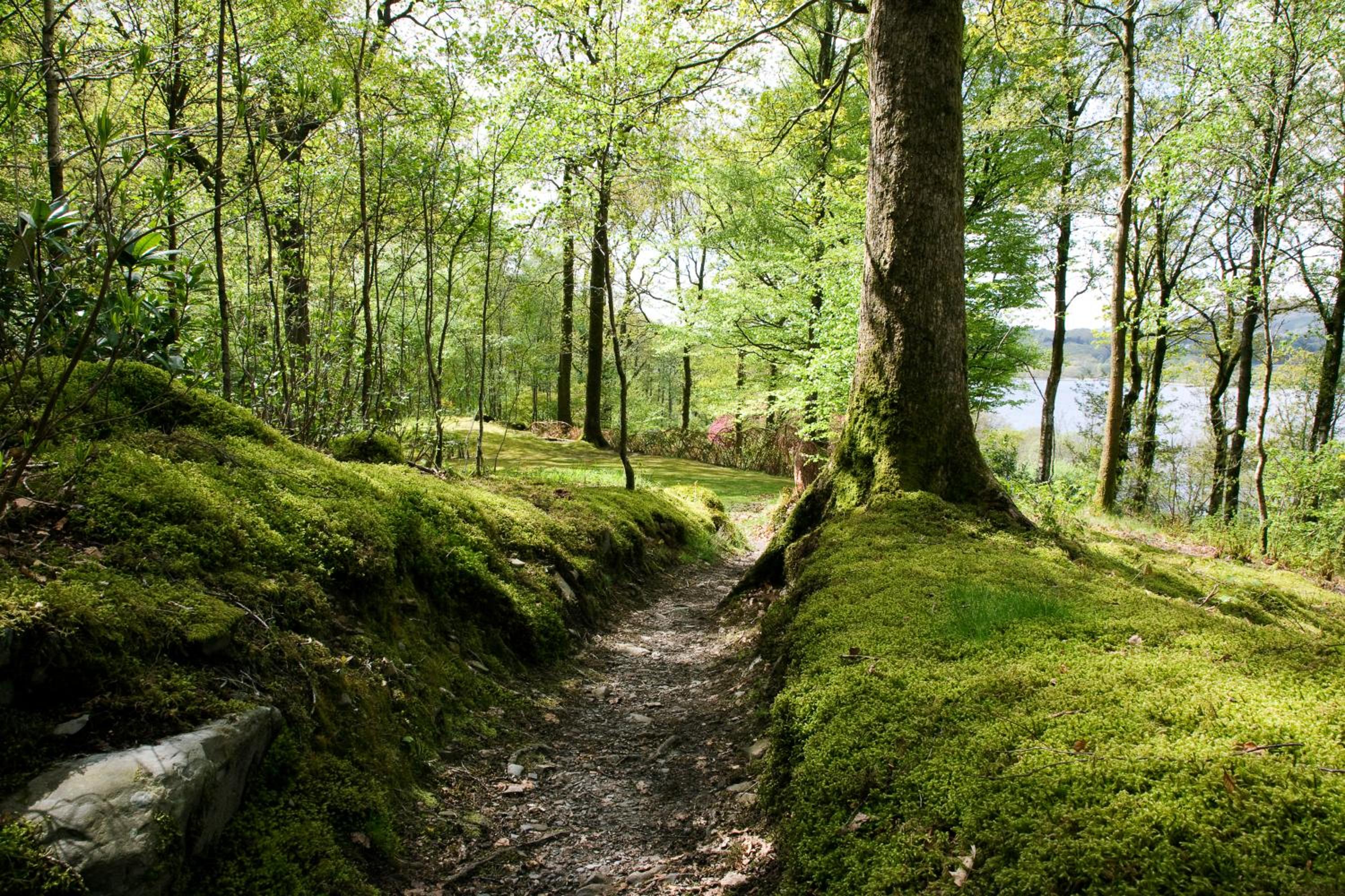 Brantwood Lodge