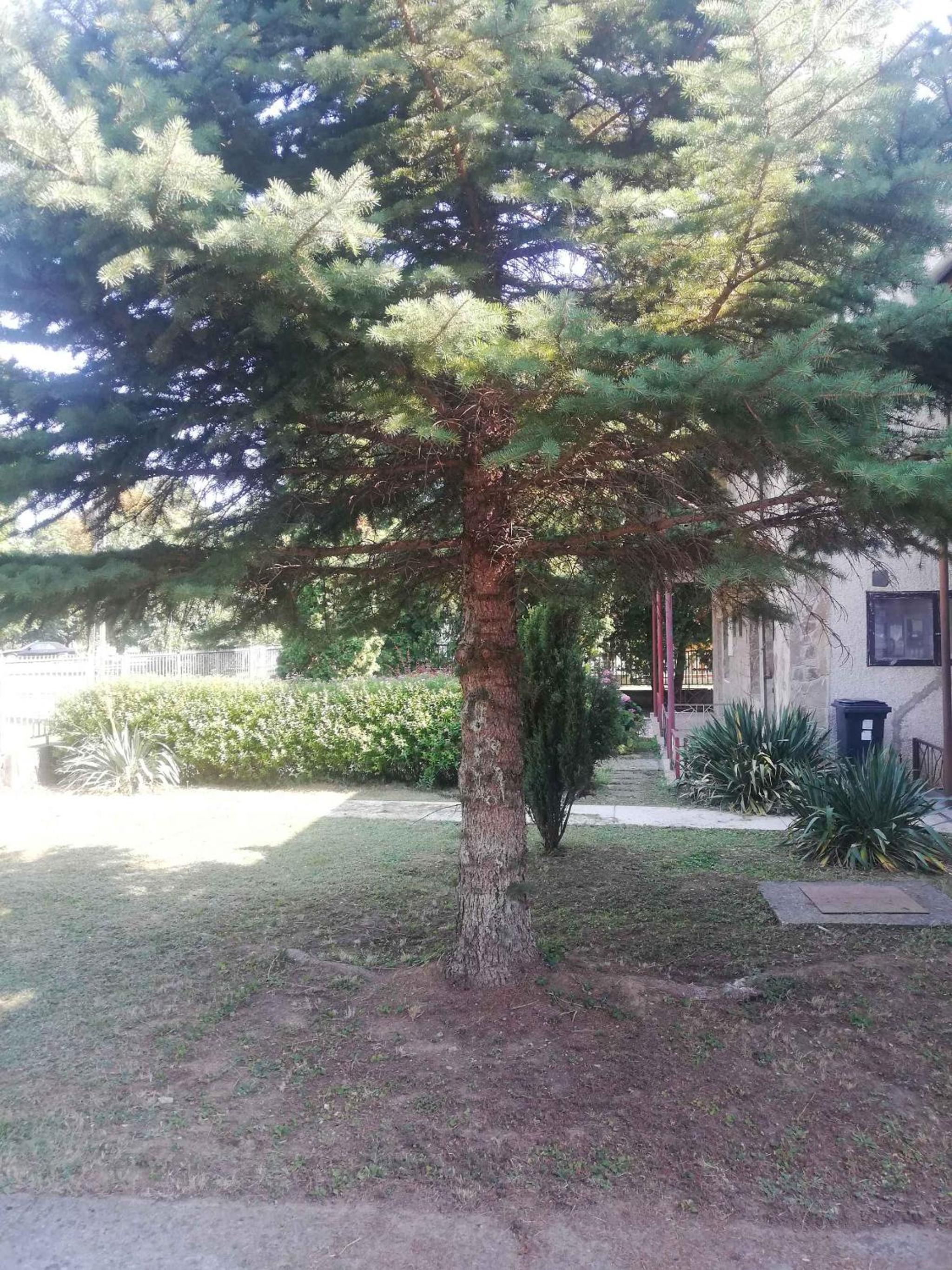 Holiday home in Keszthely - Balaton 49197 view 5