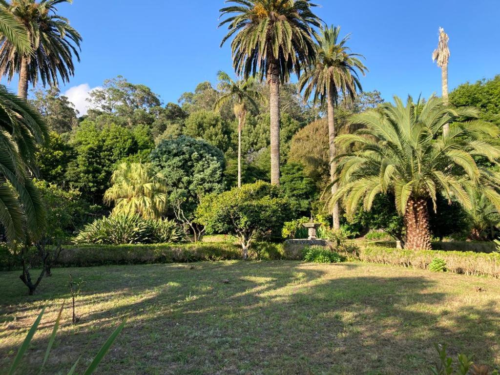 Quinta das Palmeiras