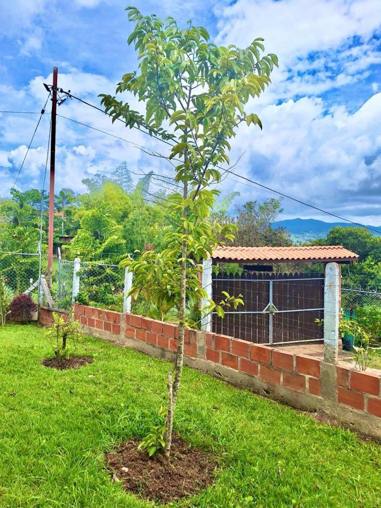 Finca Villa Laila