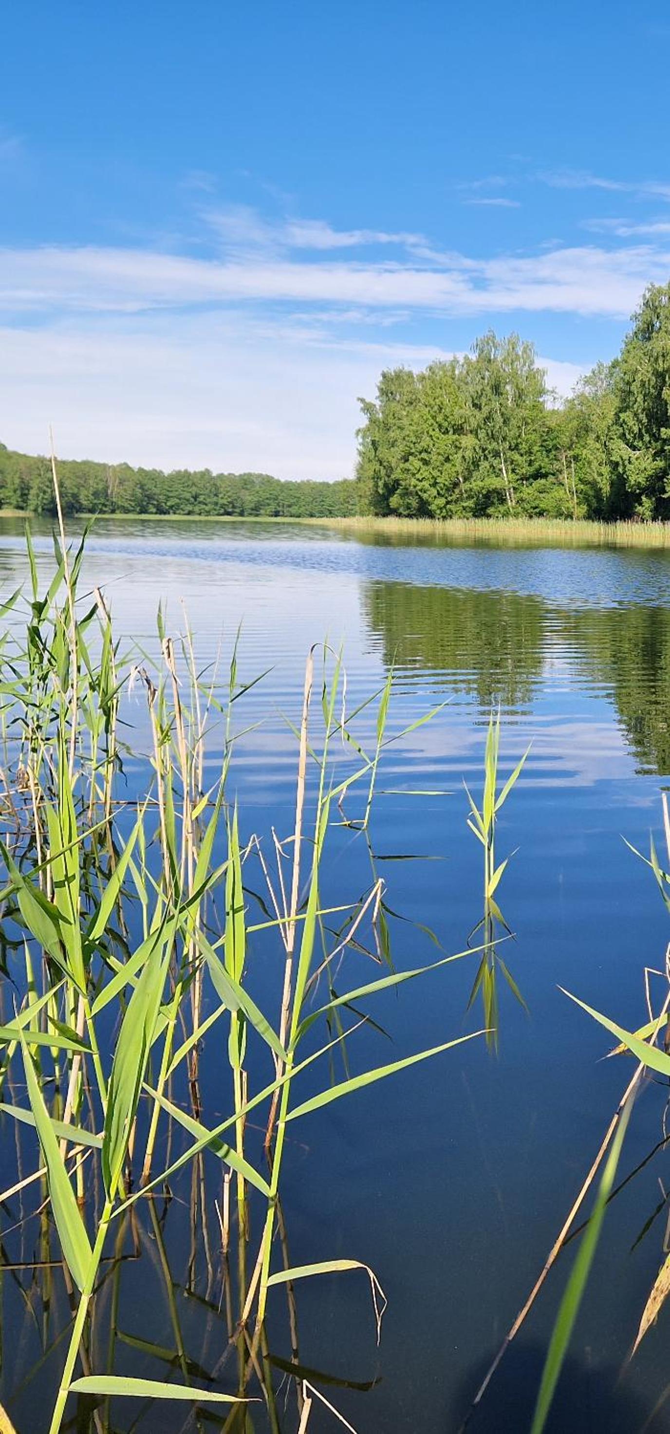 Namukas su ežero pakrante Trakai ,Viesų vila