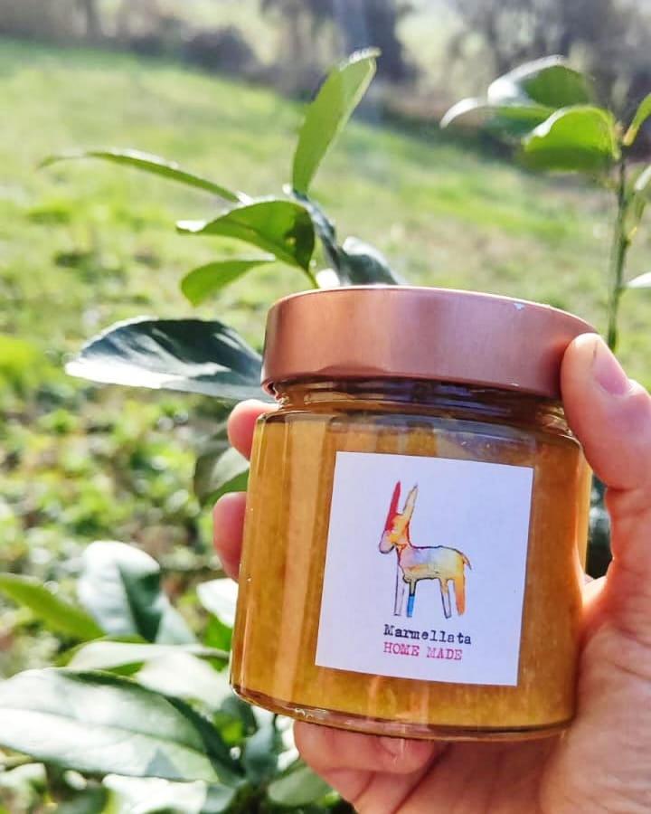 agriturismo contrada del raglio