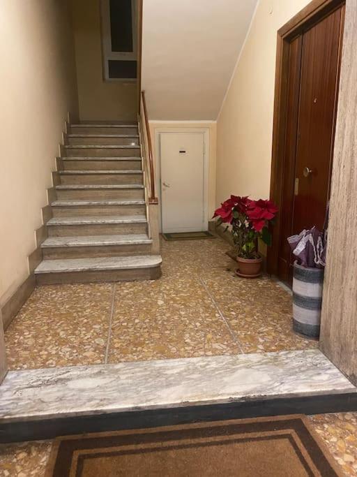 Vatican Paradise Pisana 43