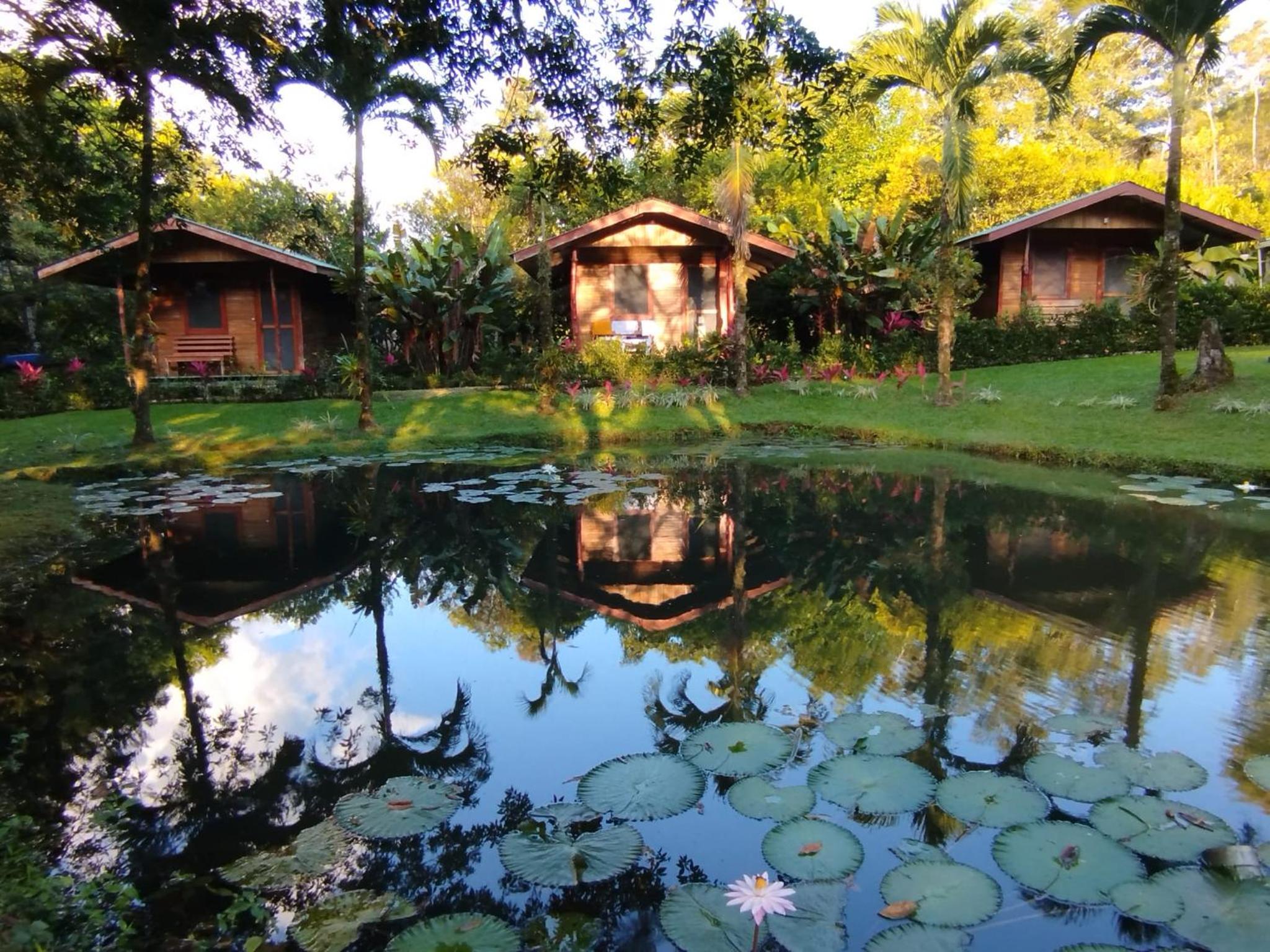 Rincon Verde view 5