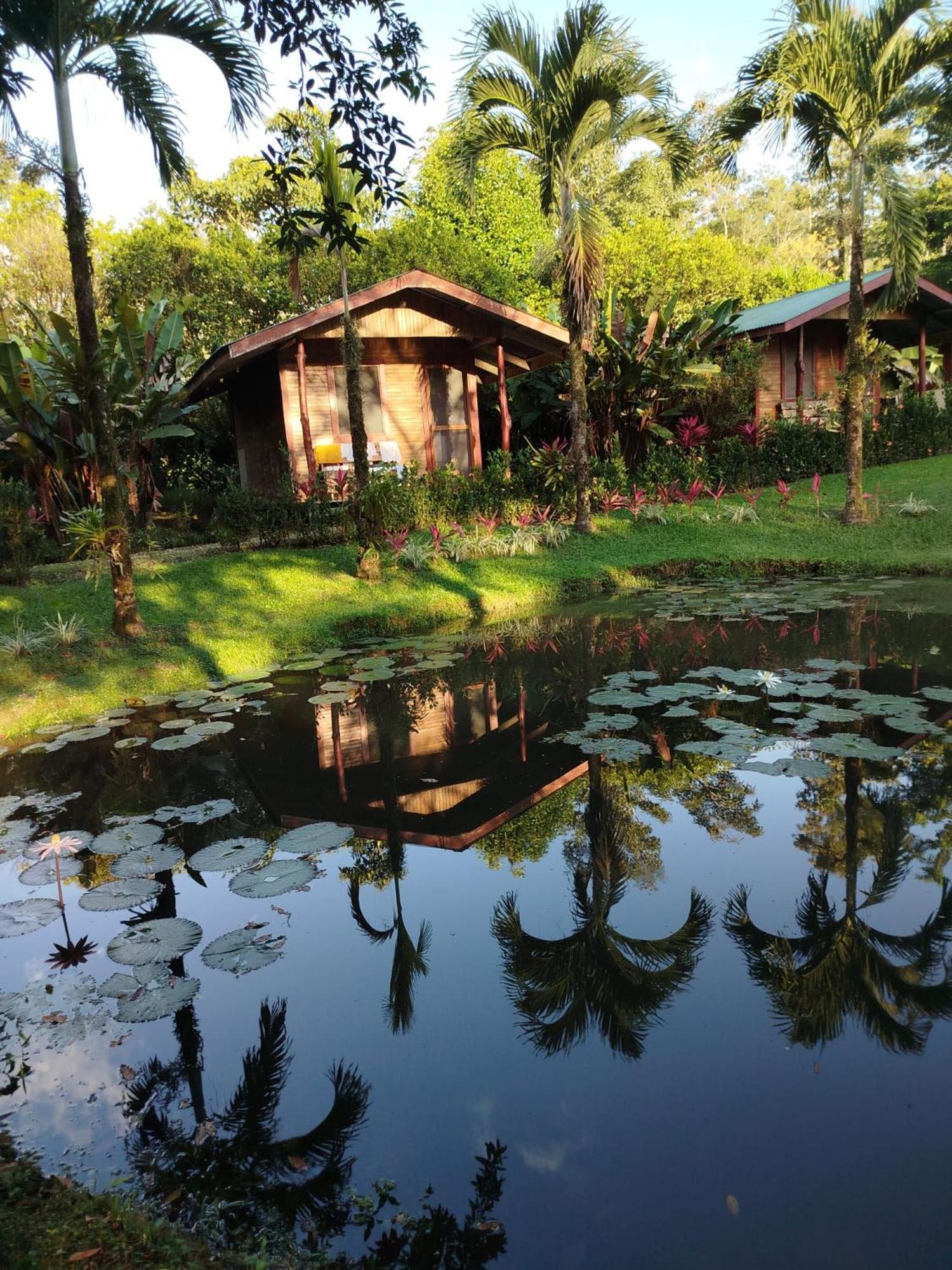 Rincon Verde view 4