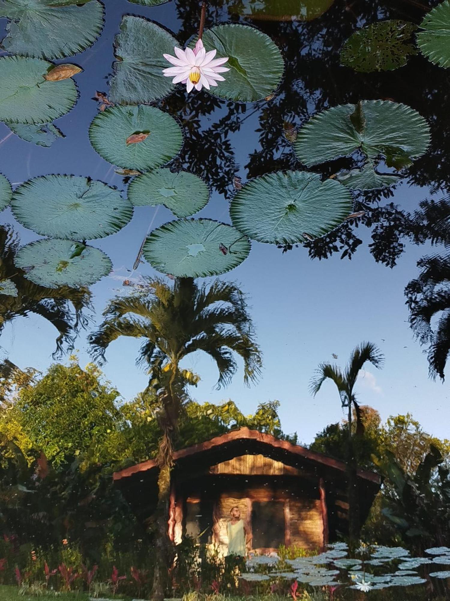 Rincon Verde view 3