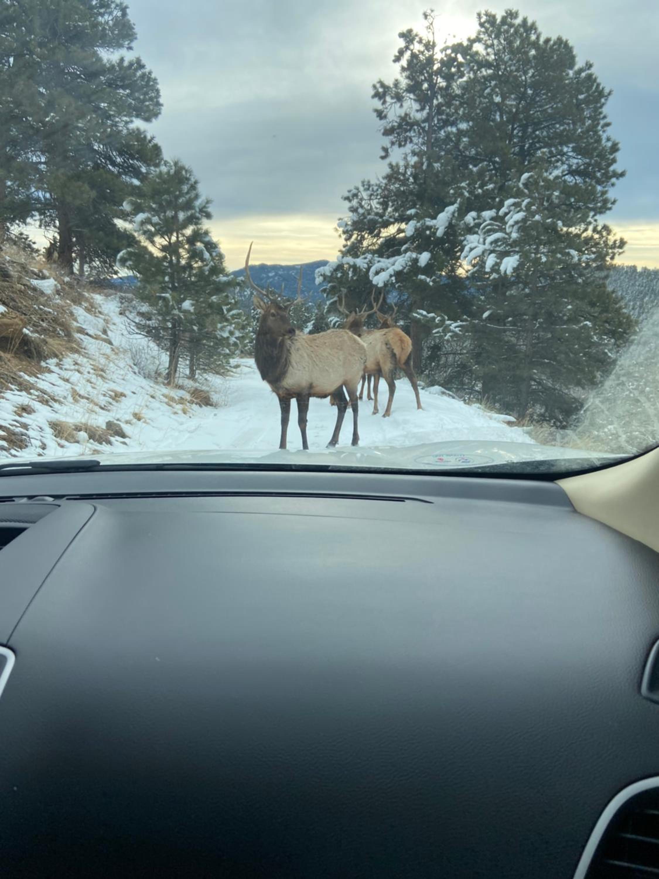 Colorado Bed & Breakfast with beautiful views