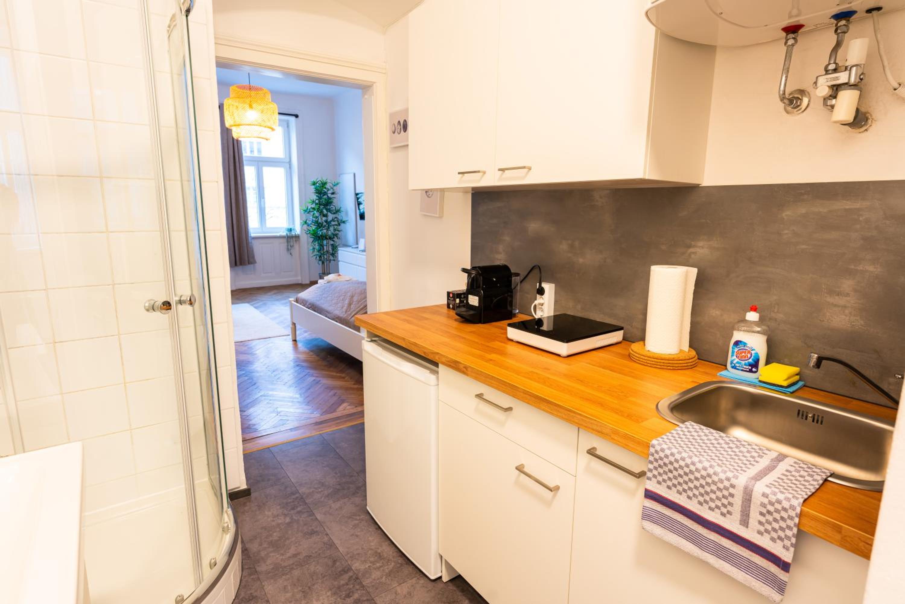 Vienna City Apartment Traisengasse