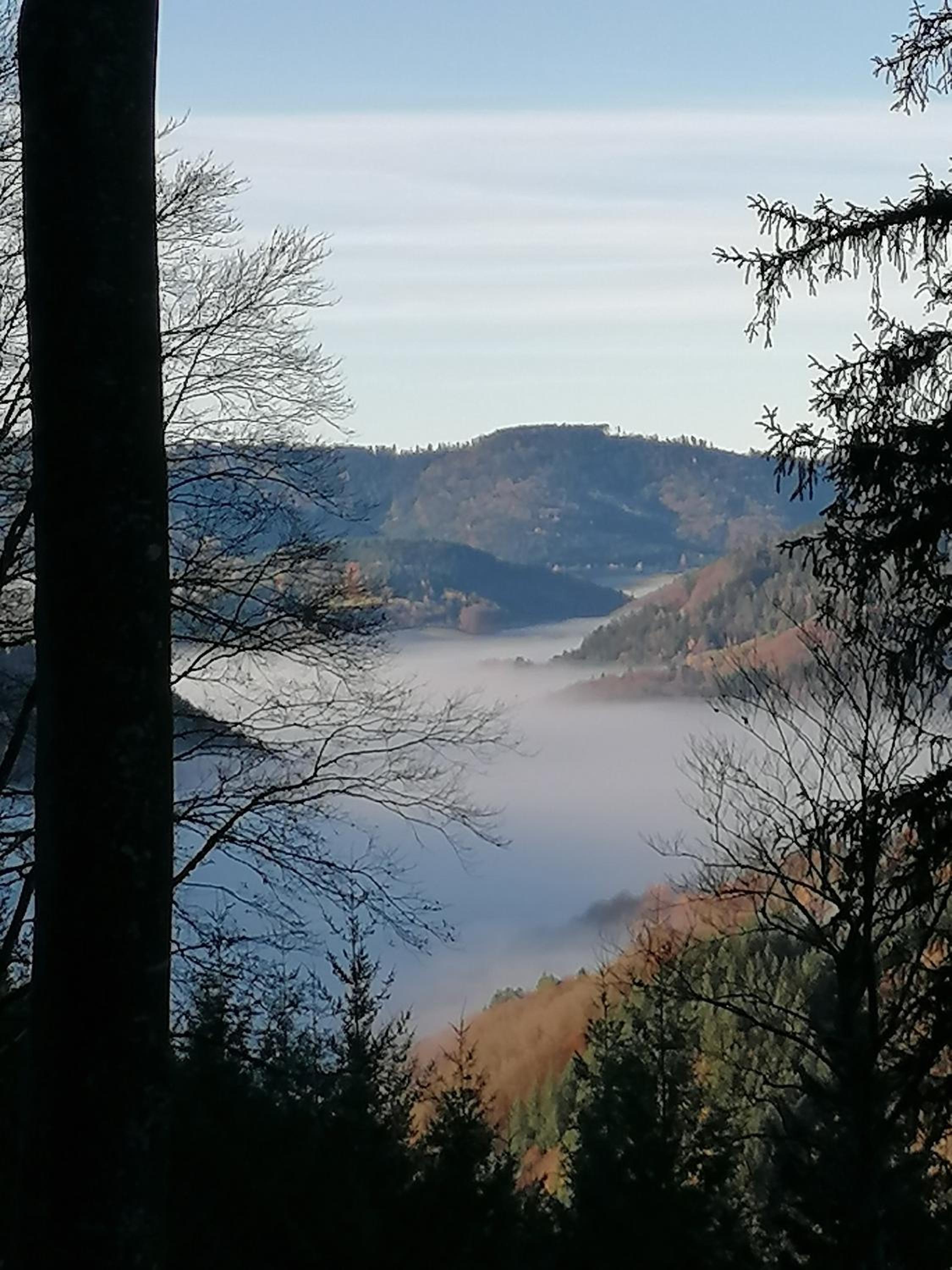 Schwarzwaldferienwohnung Oberle