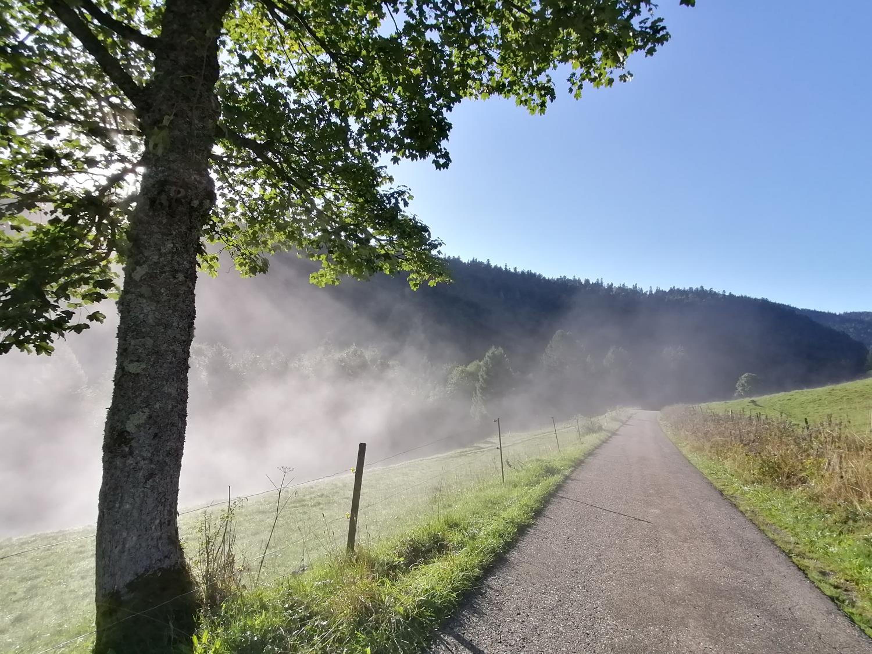 Schwarzwaldferienwohnung Oberle