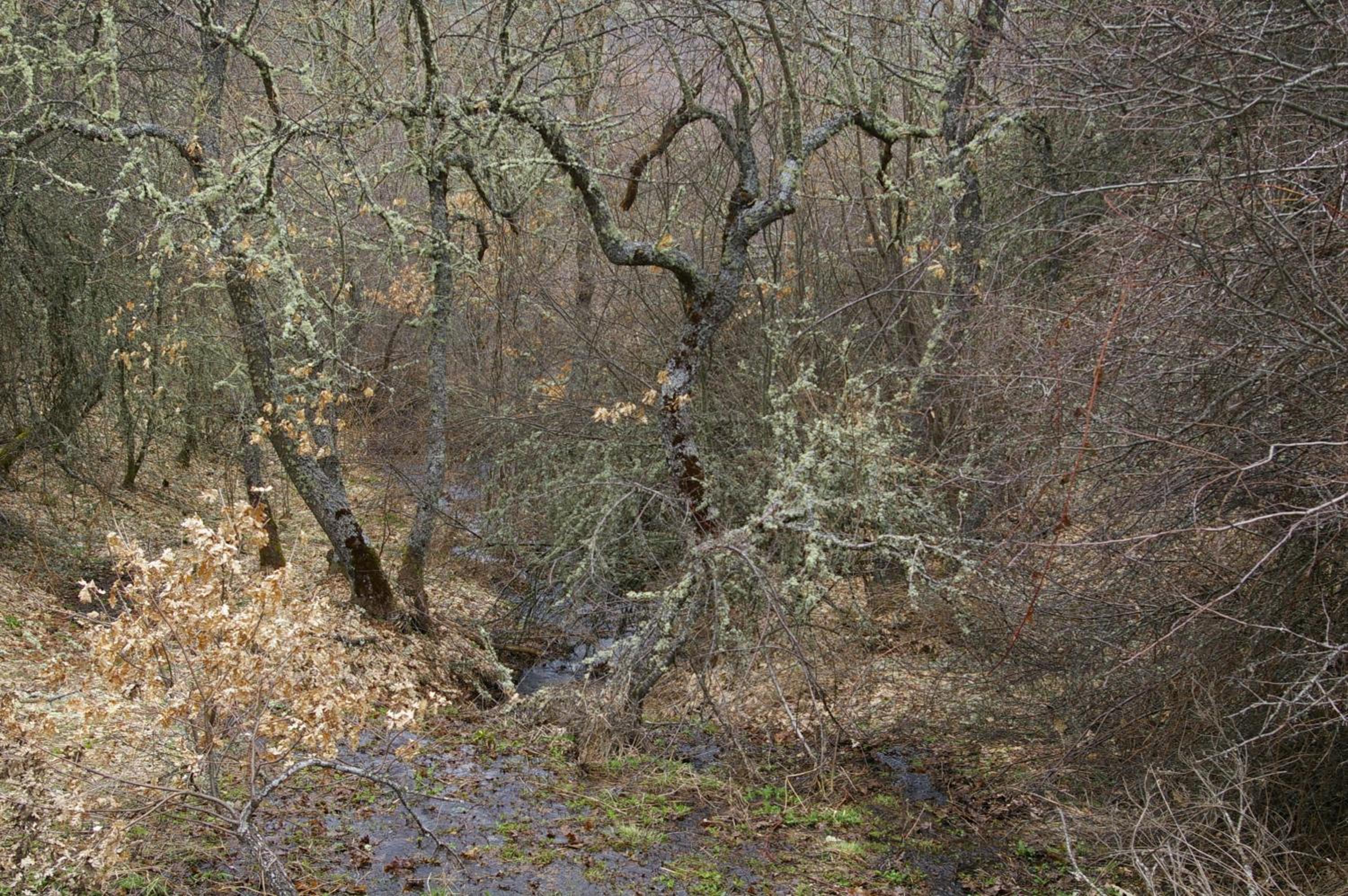 Photo 40