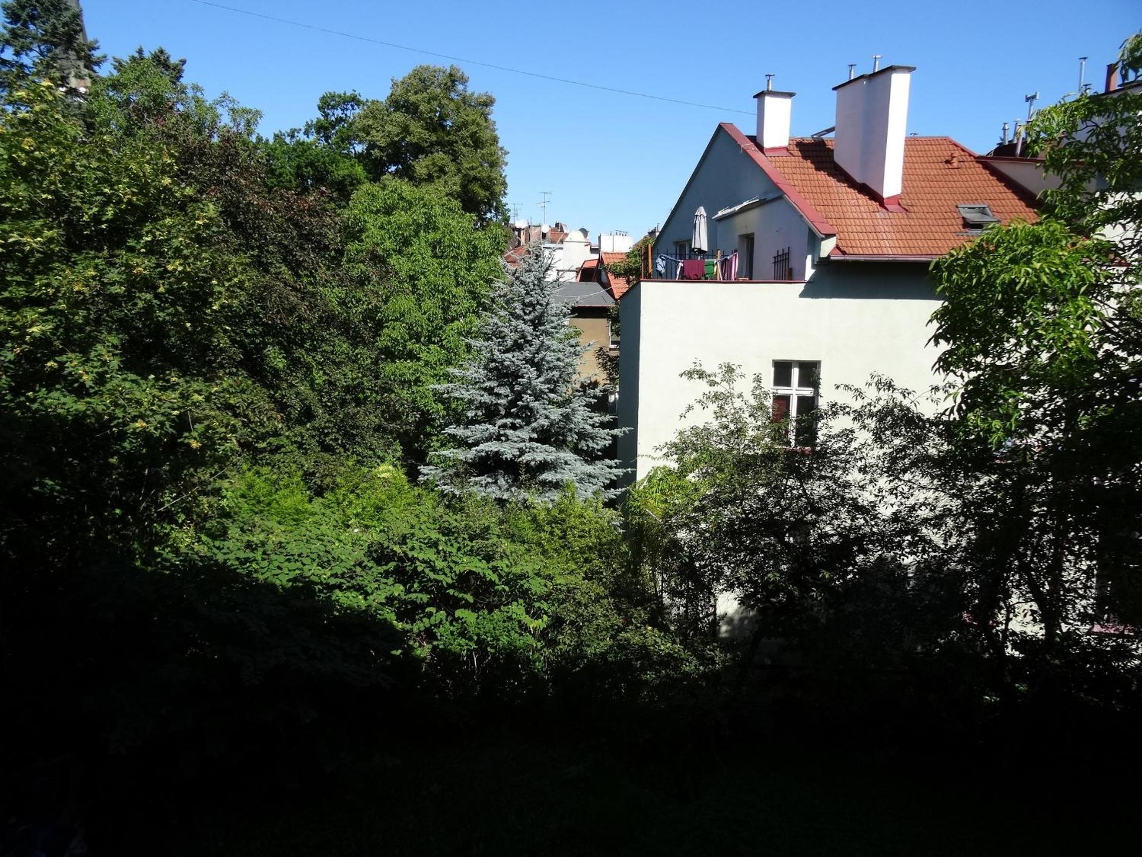 Casa Di Pinokio