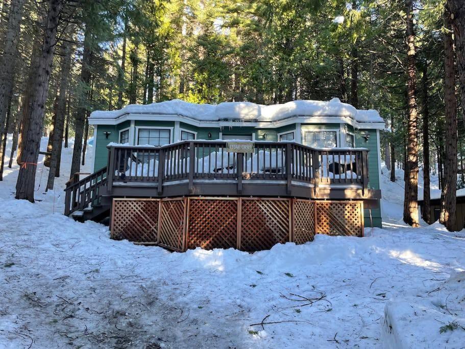 Cedar Oasis - Pet Friendly Cabin w Fireplace, Games and Wifi - 5 min to Big Trees view 2