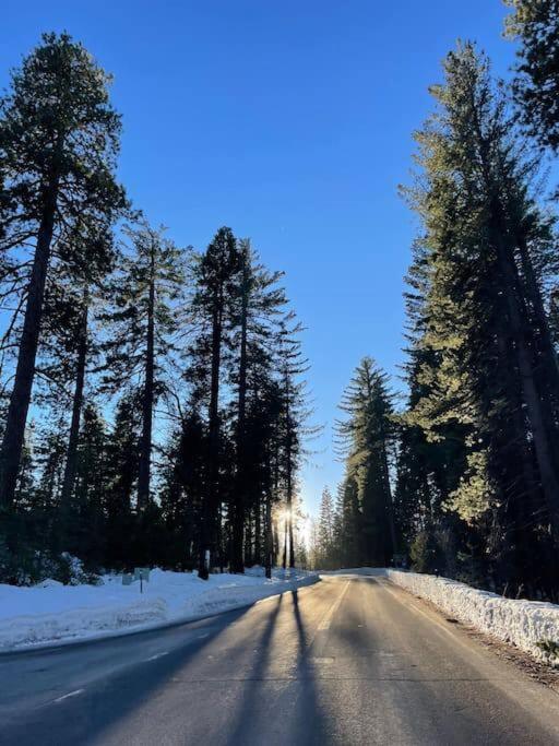 Cedar Oasis - Pet Friendly Cabin w Fireplace, Games and Wifi - 5 min to Big Trees view 3